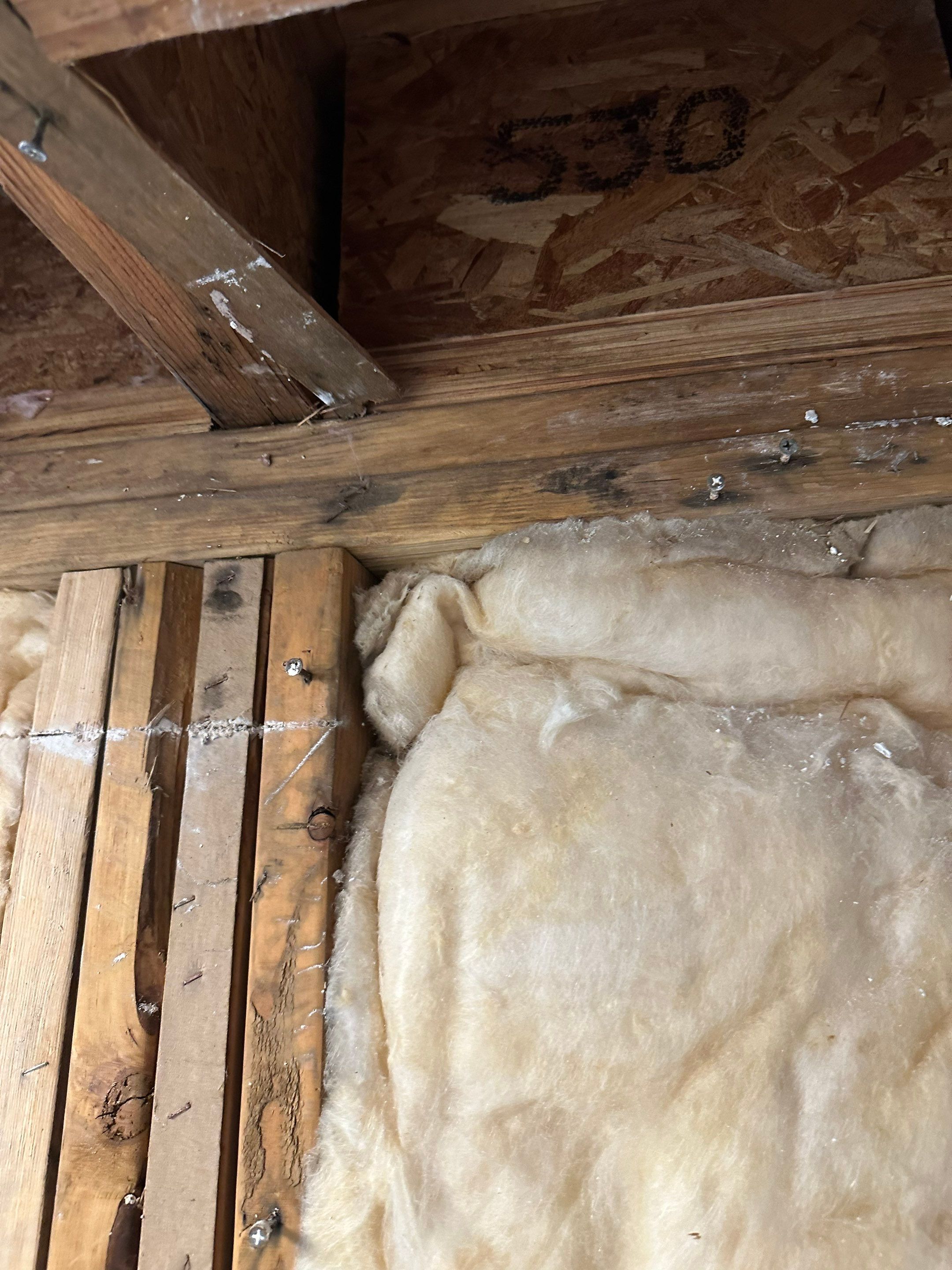 Water Damage in Denver, CO by Alpha Restoration 