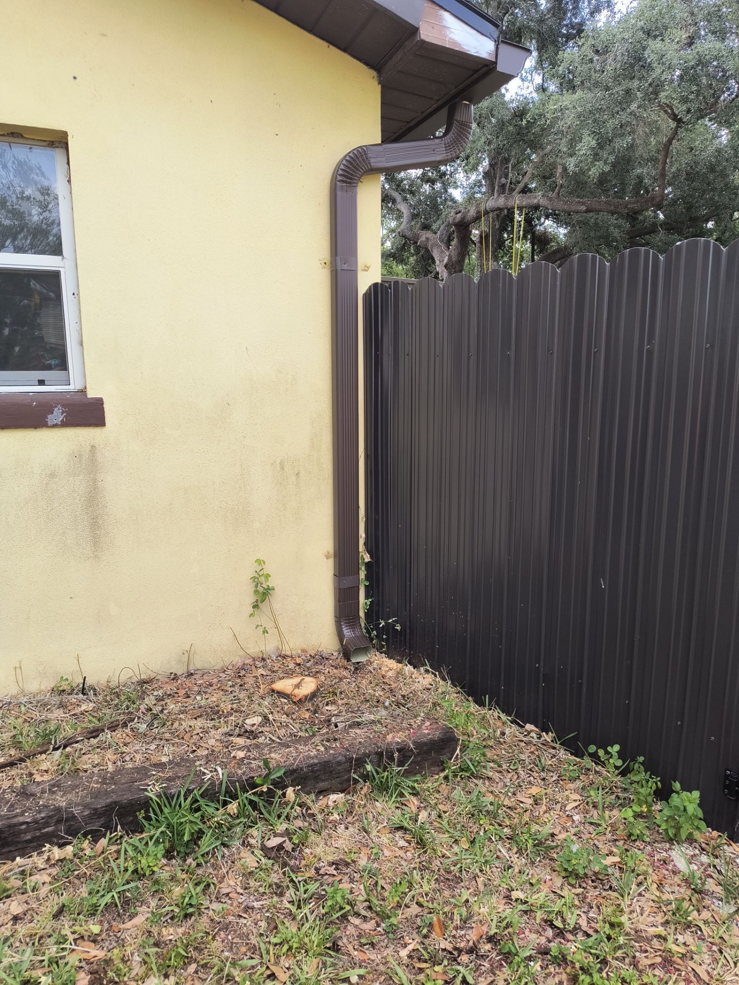 Musket Brown 6-Inch Gutters in Tampa FL by Gutter Professors