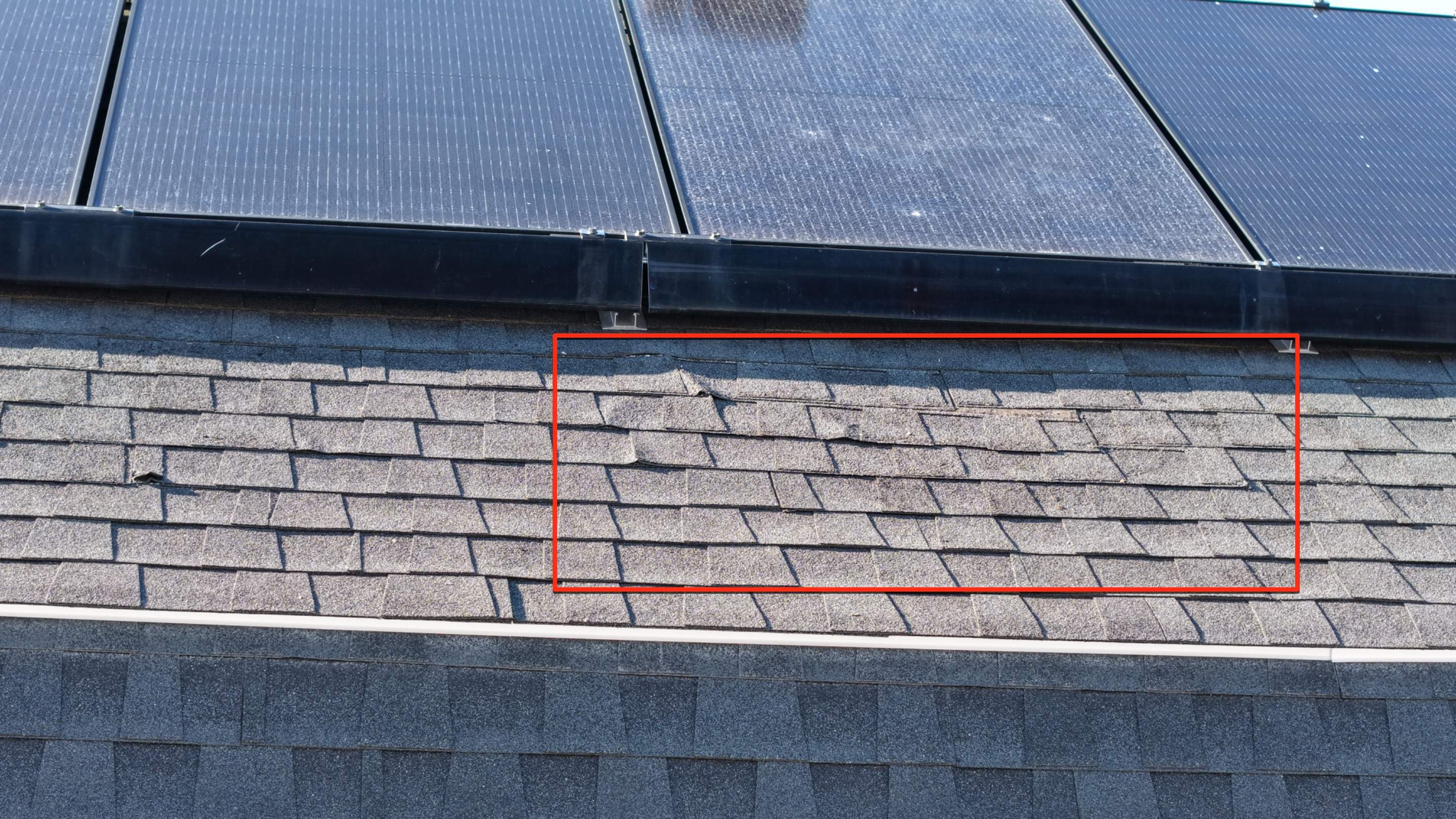 Critter Damage Repair: Ridge Vent Upgrade & Mansard Shingle Restoration by JOHNNYS PRO