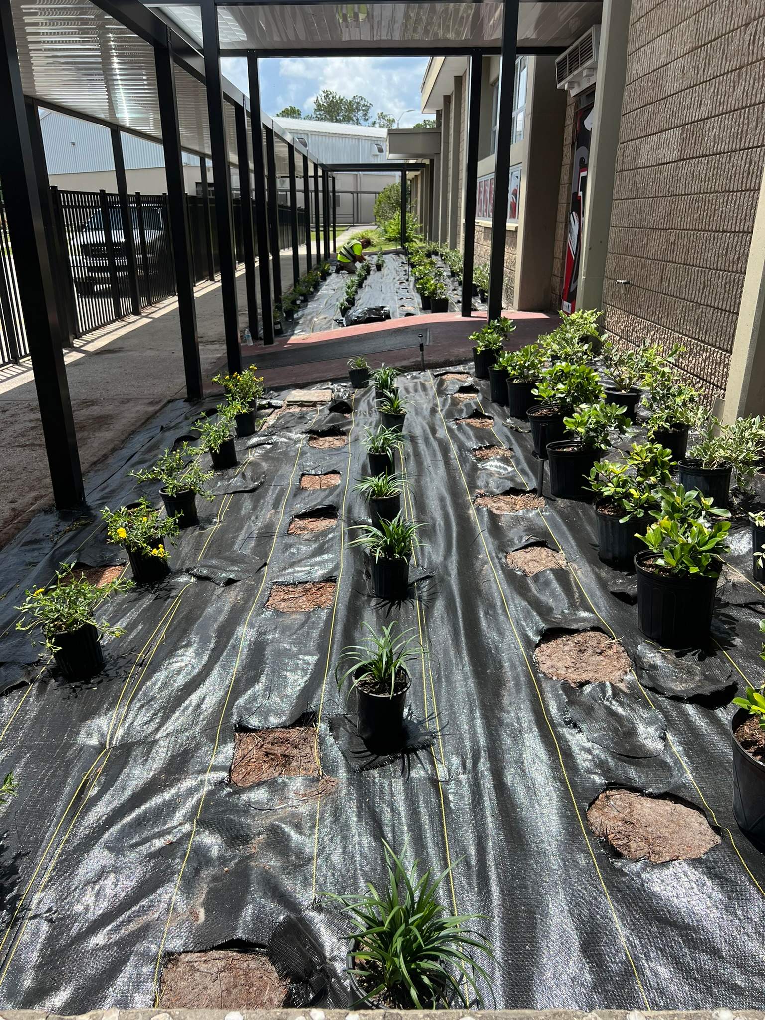 Landscape Install | Wilkinson JHS by ProGreen Services