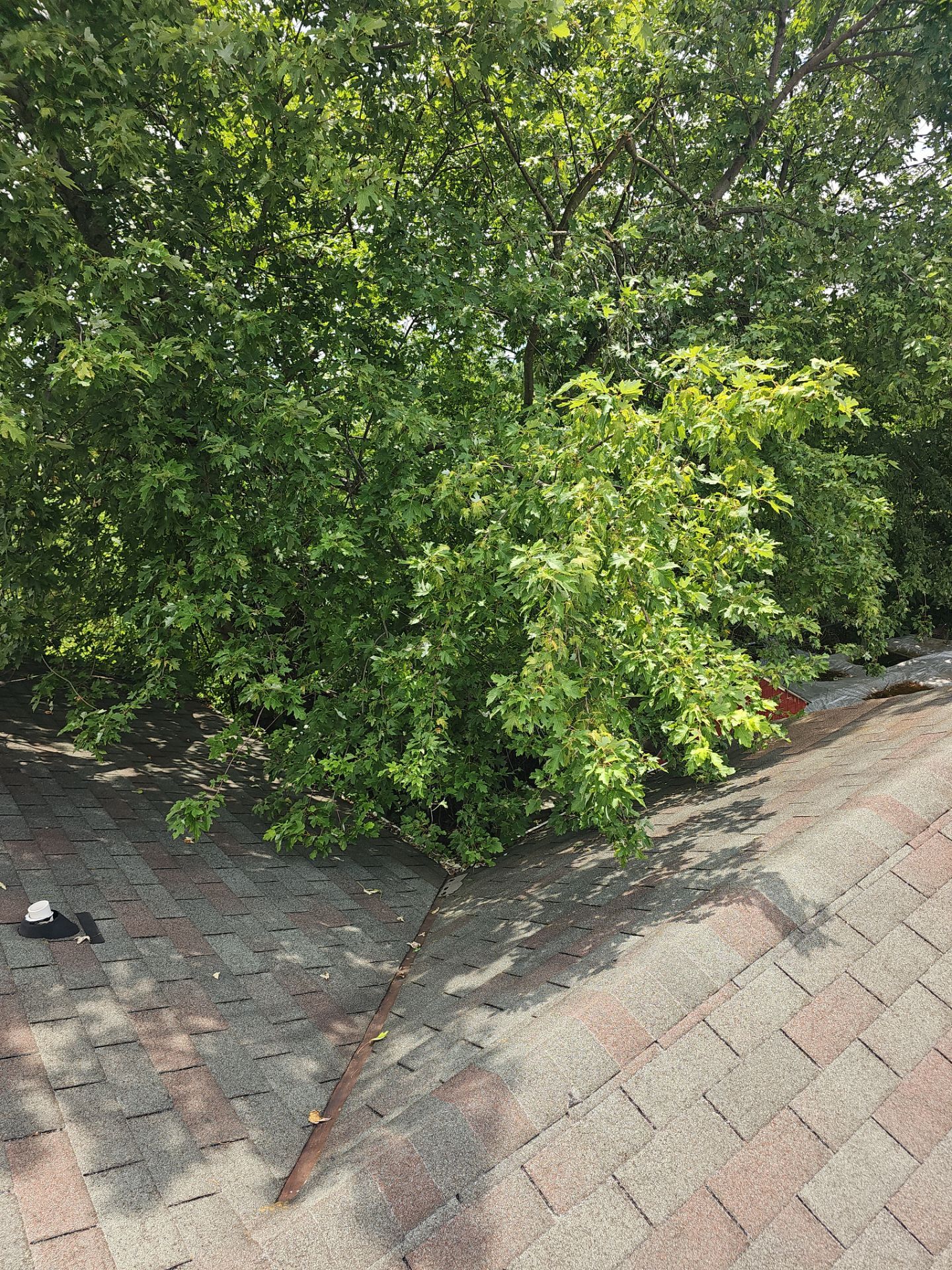 Roof Replacement by Winchester Roofing