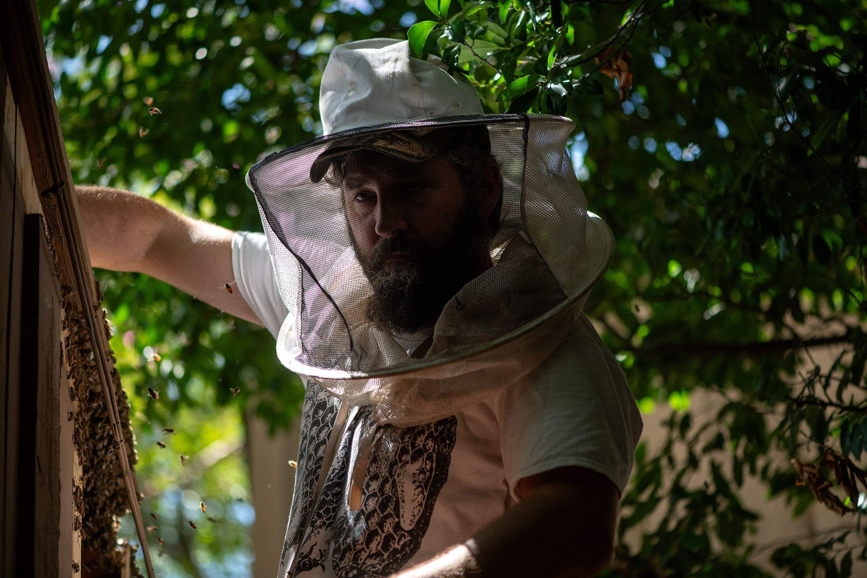 Condo Patio by Rockwall Honey Bee Company