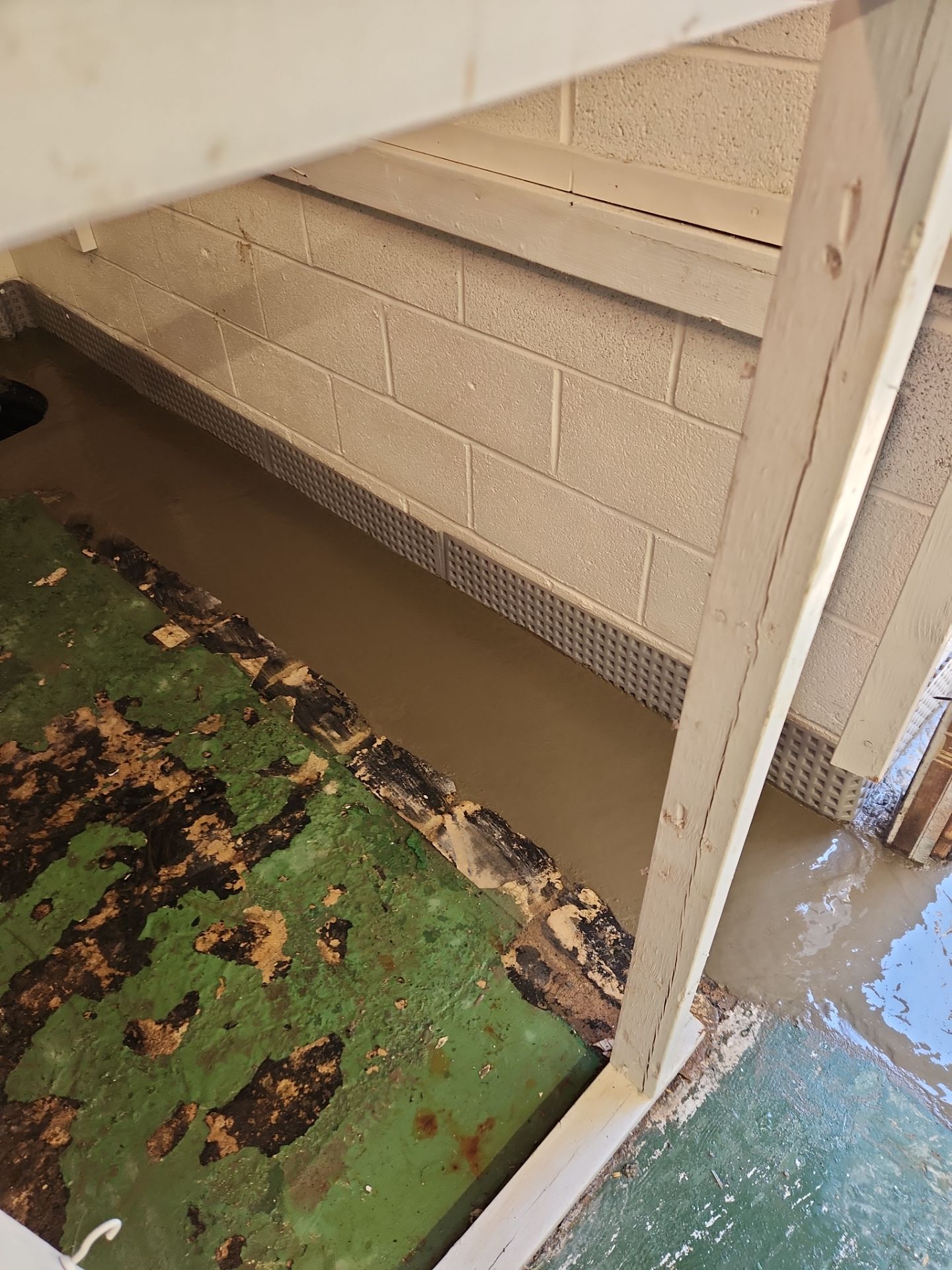 Interior French Drain & Mold Remediation Project in Manville, New Jersey by Pure Service Pro, LLC 