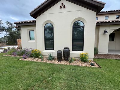 Belle Oaks - VI