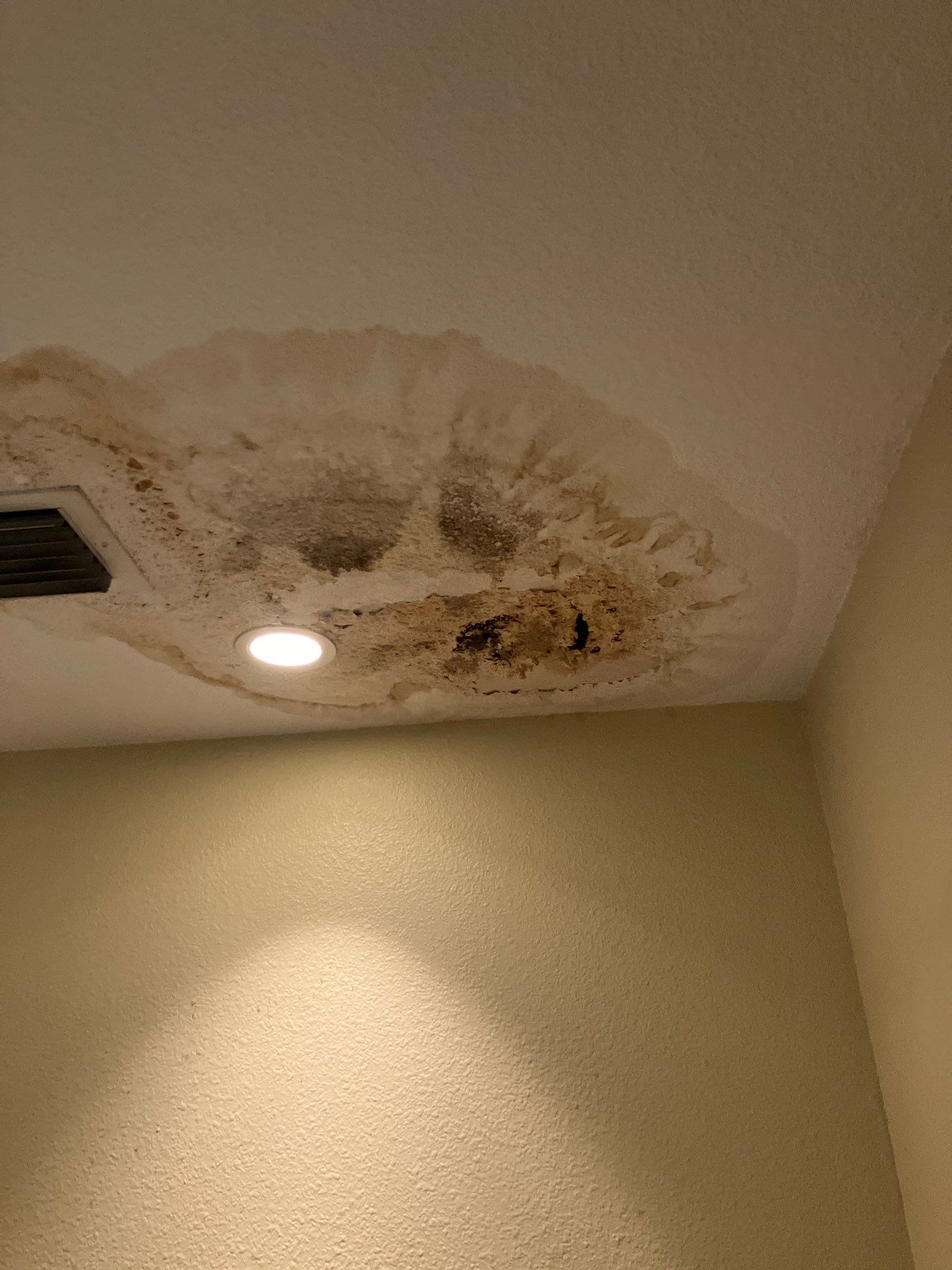 Home Mold Removal by Ampm Restoration Services