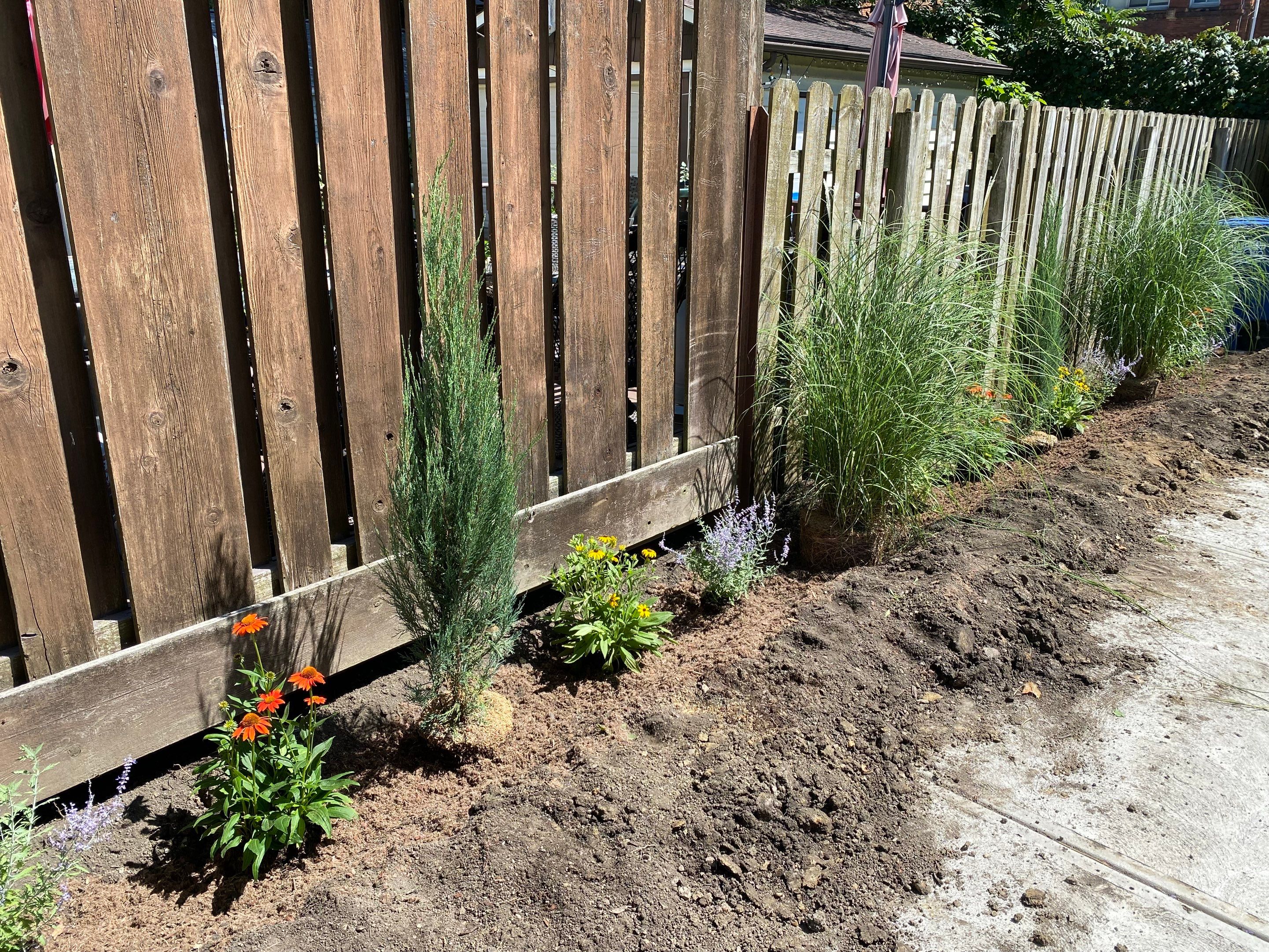 Green Fenceline Install by Elm Rose Gardens
