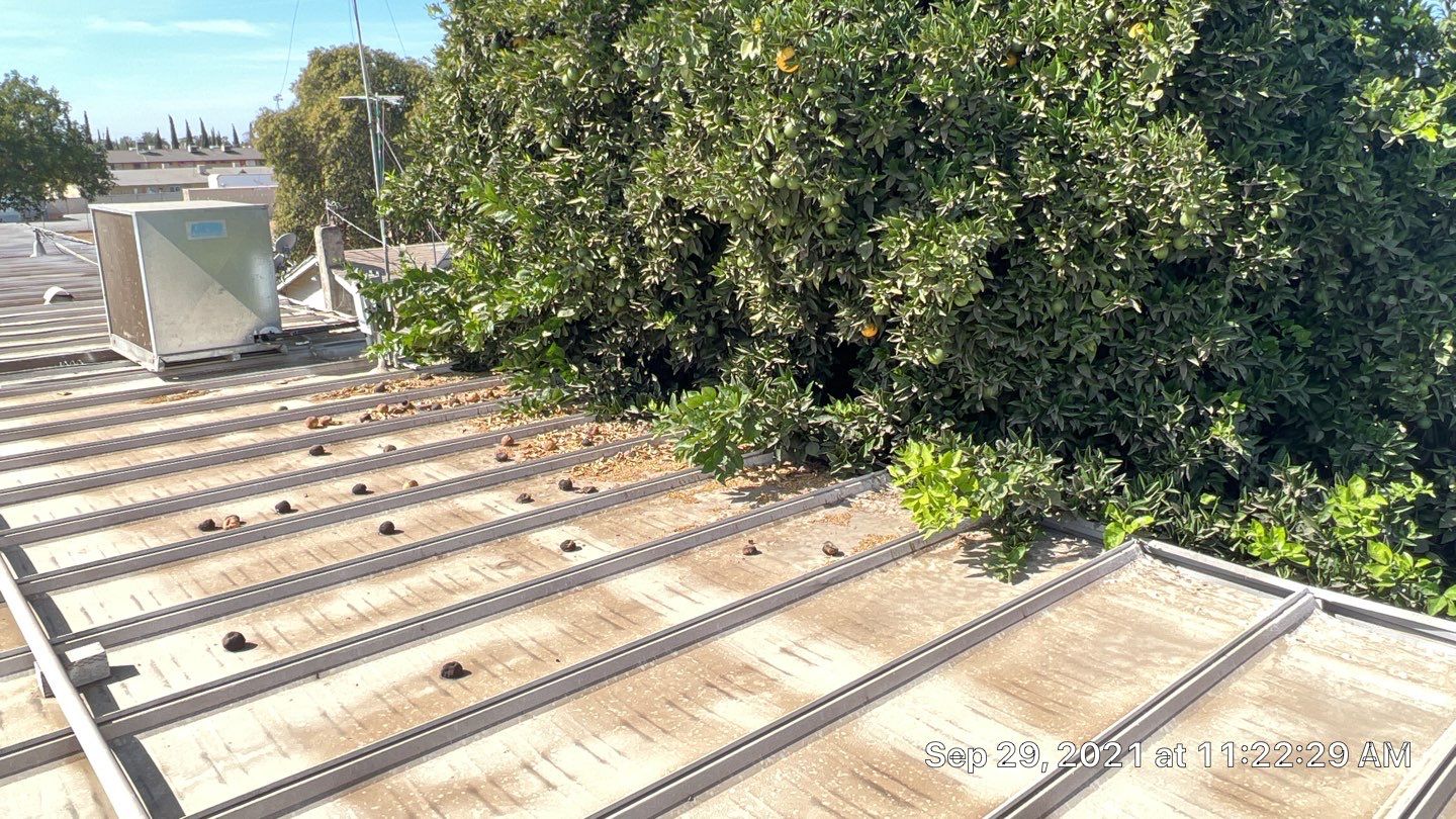  Chevron Gas Station by Straight Edge Roofing Inc