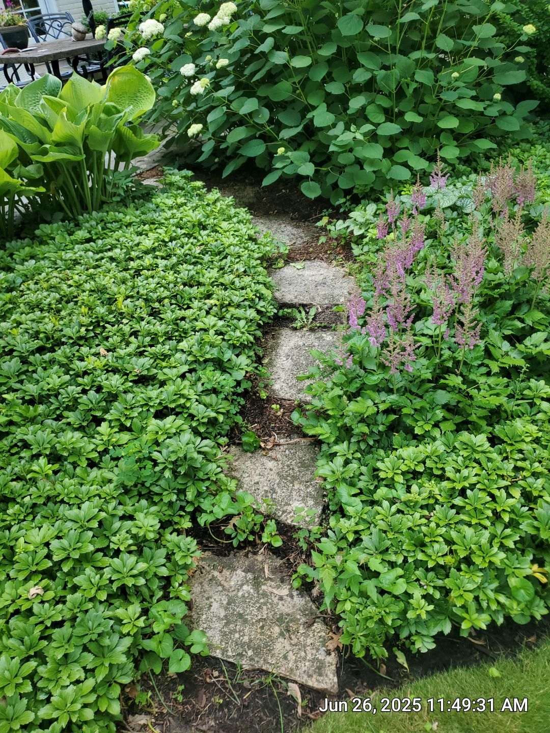Glenview stone repair, and cleaning by Northern Power Washing LLC.