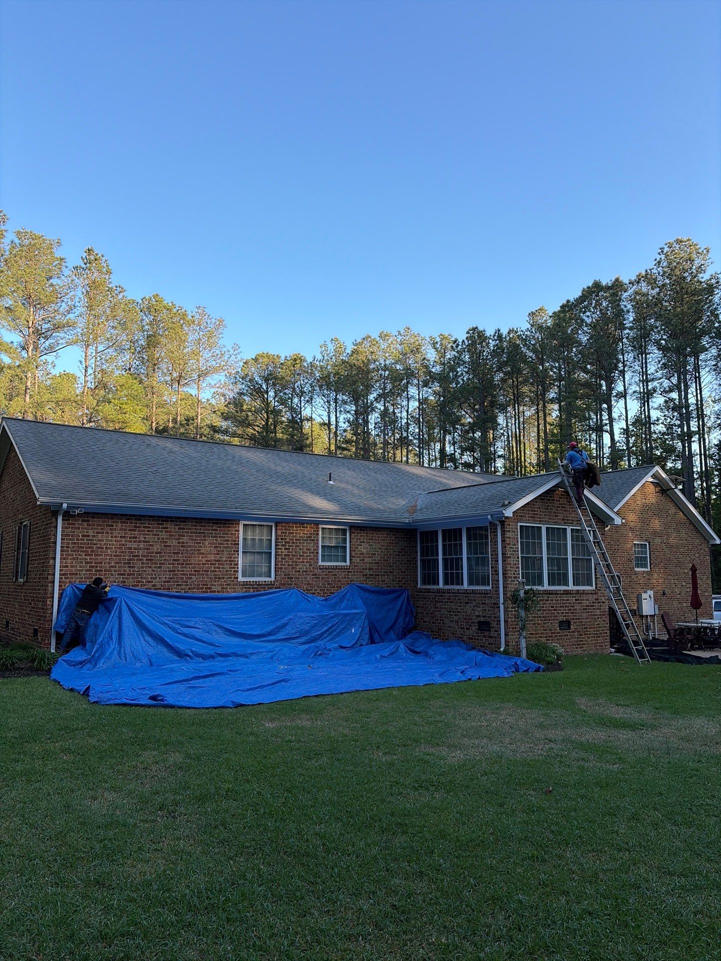 Shingle Roof Replacement  by D.L. Williams Roofing 