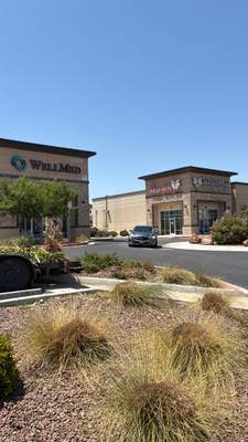 Commercial Job- Tree removal