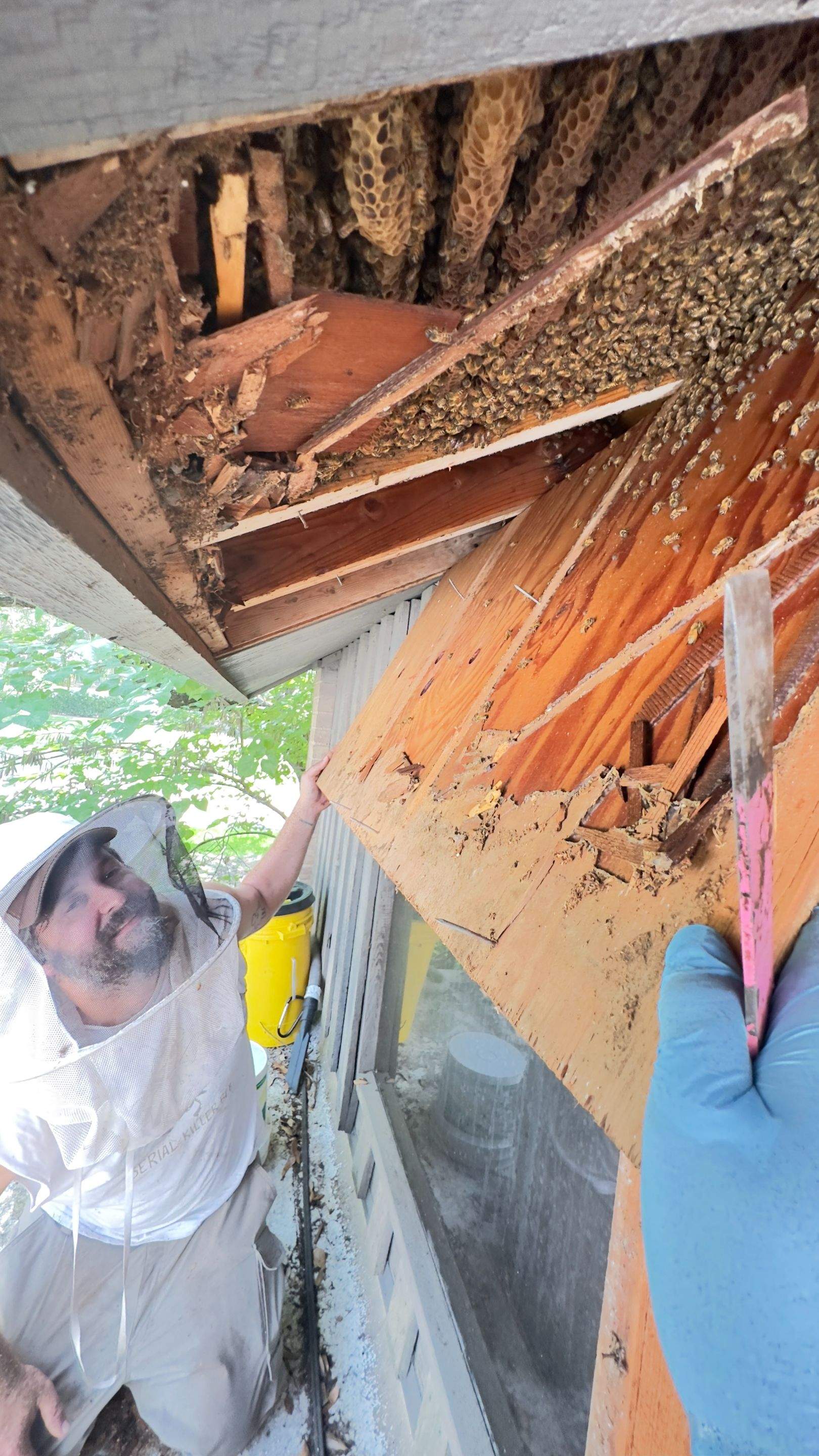 Old Faithful by Rockwall Honey Bee Company