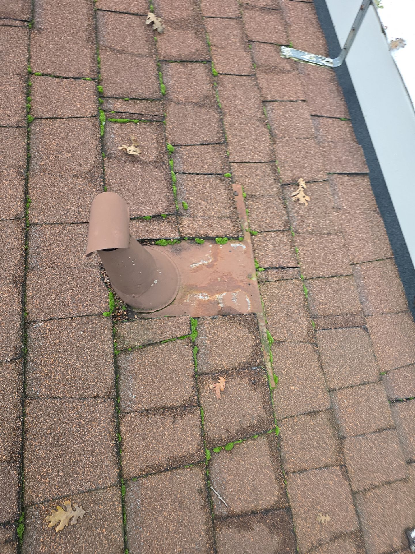 Roof Rejuvenation using Roof Maxx Treatment by Roof Maxx of Folsom