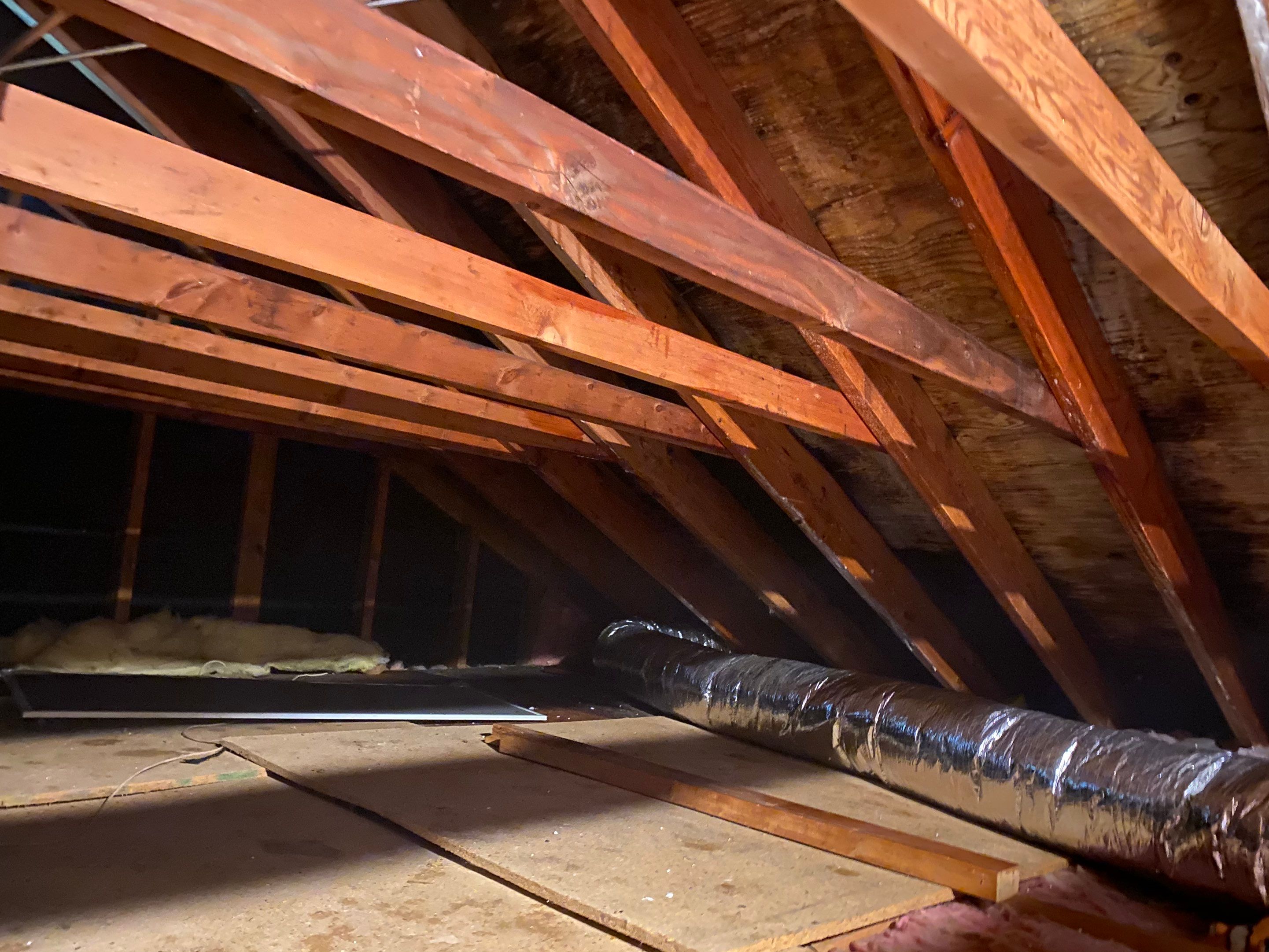 Attic Mold Remediation Job in Vernon Township, NJ by Pure Service Pro, LLC 