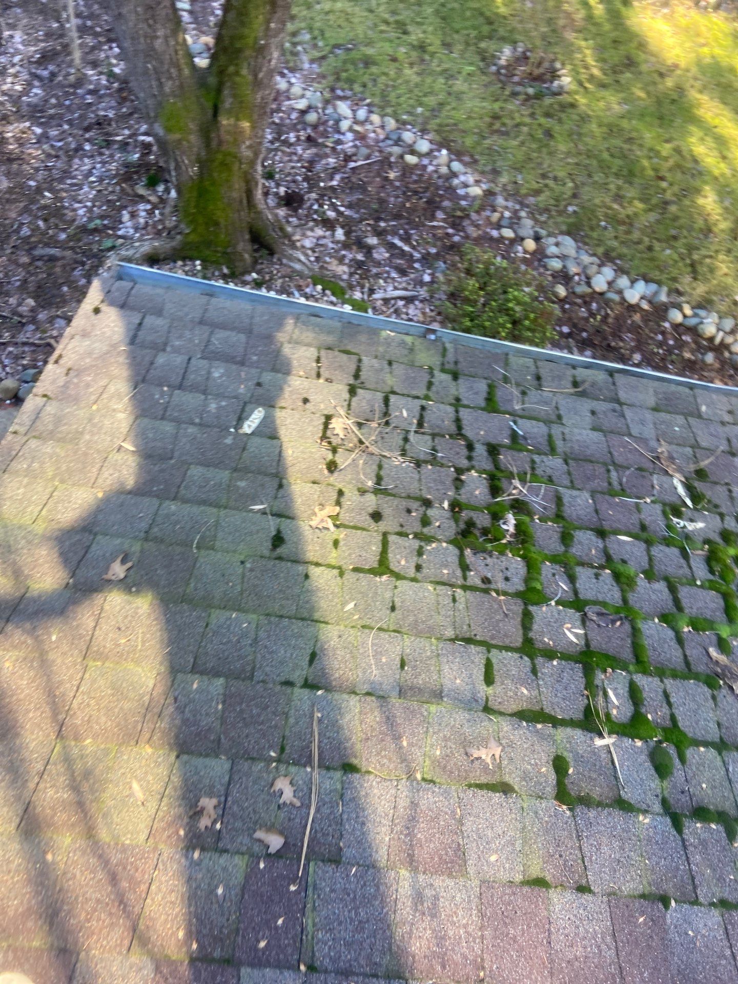 Roof Rejuvenation using Roof Maxx Treatment by Roof Maxx of Folsom