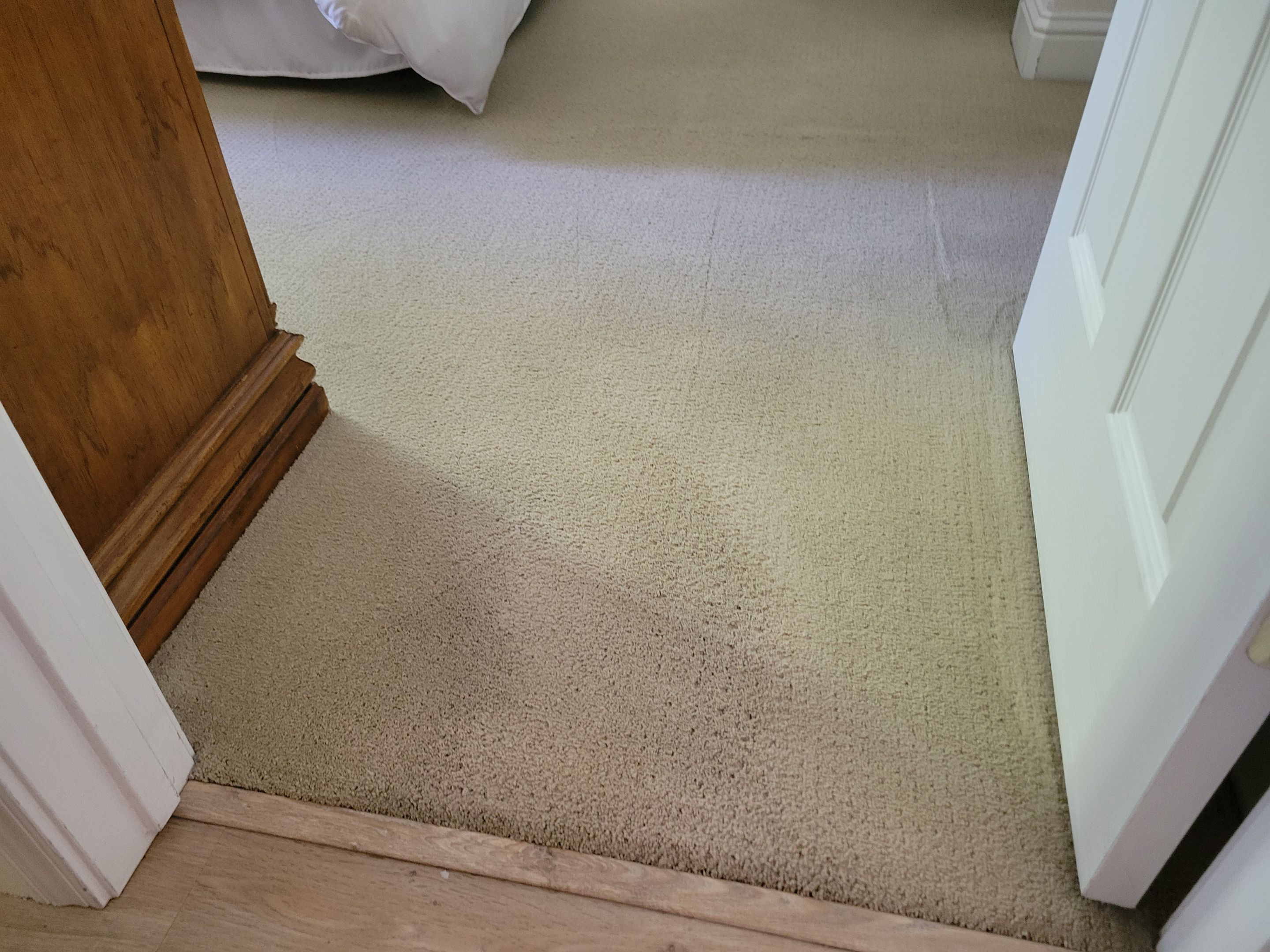 Annual Carpet Cleaning by Ardent Carpet Restore LLC