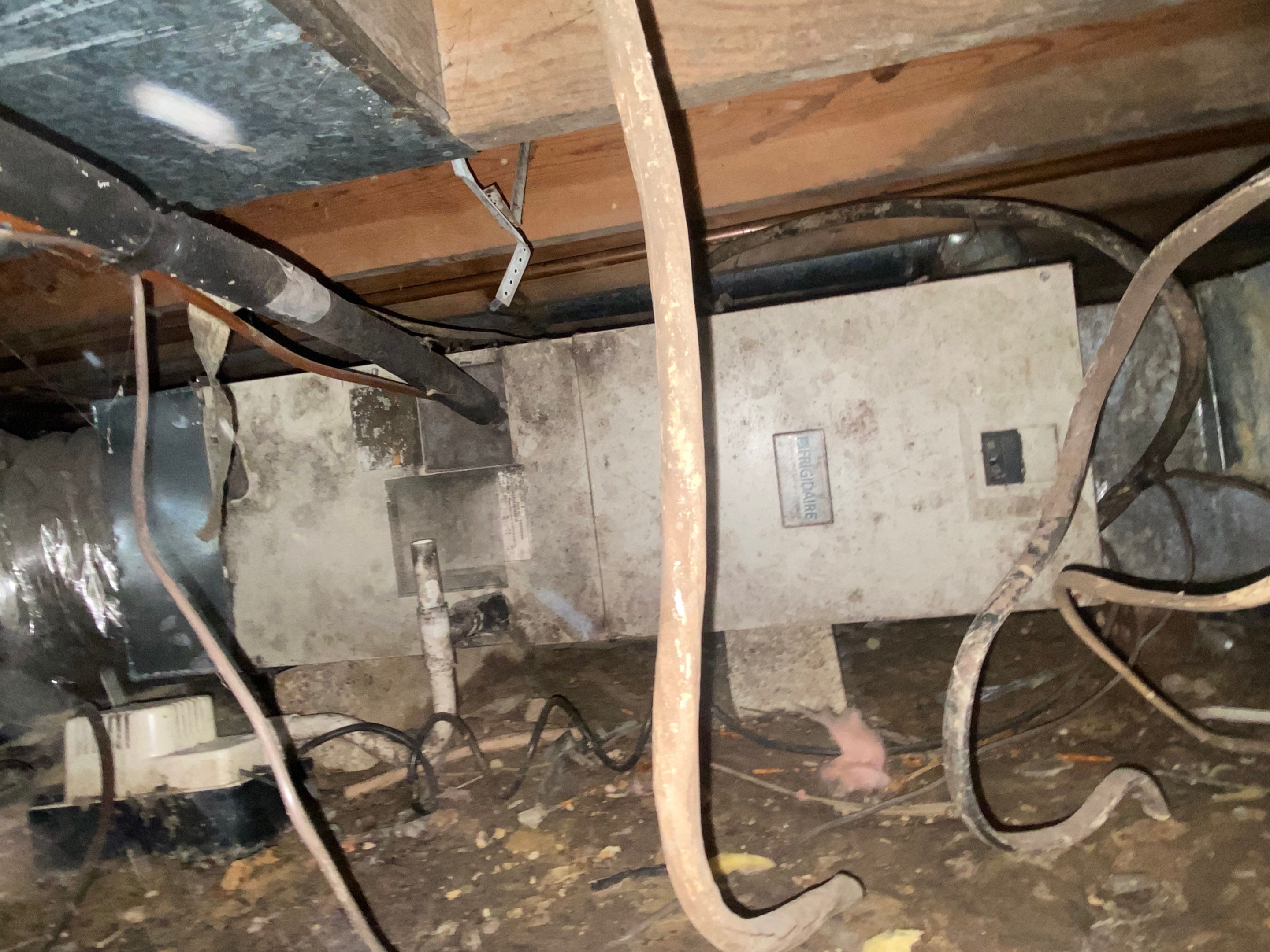 Ogle crawlspace by The Property Doctor, LLC