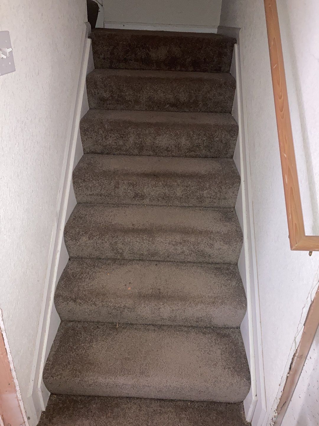 Mold Remediation in Kitchen by Accountable Home Services