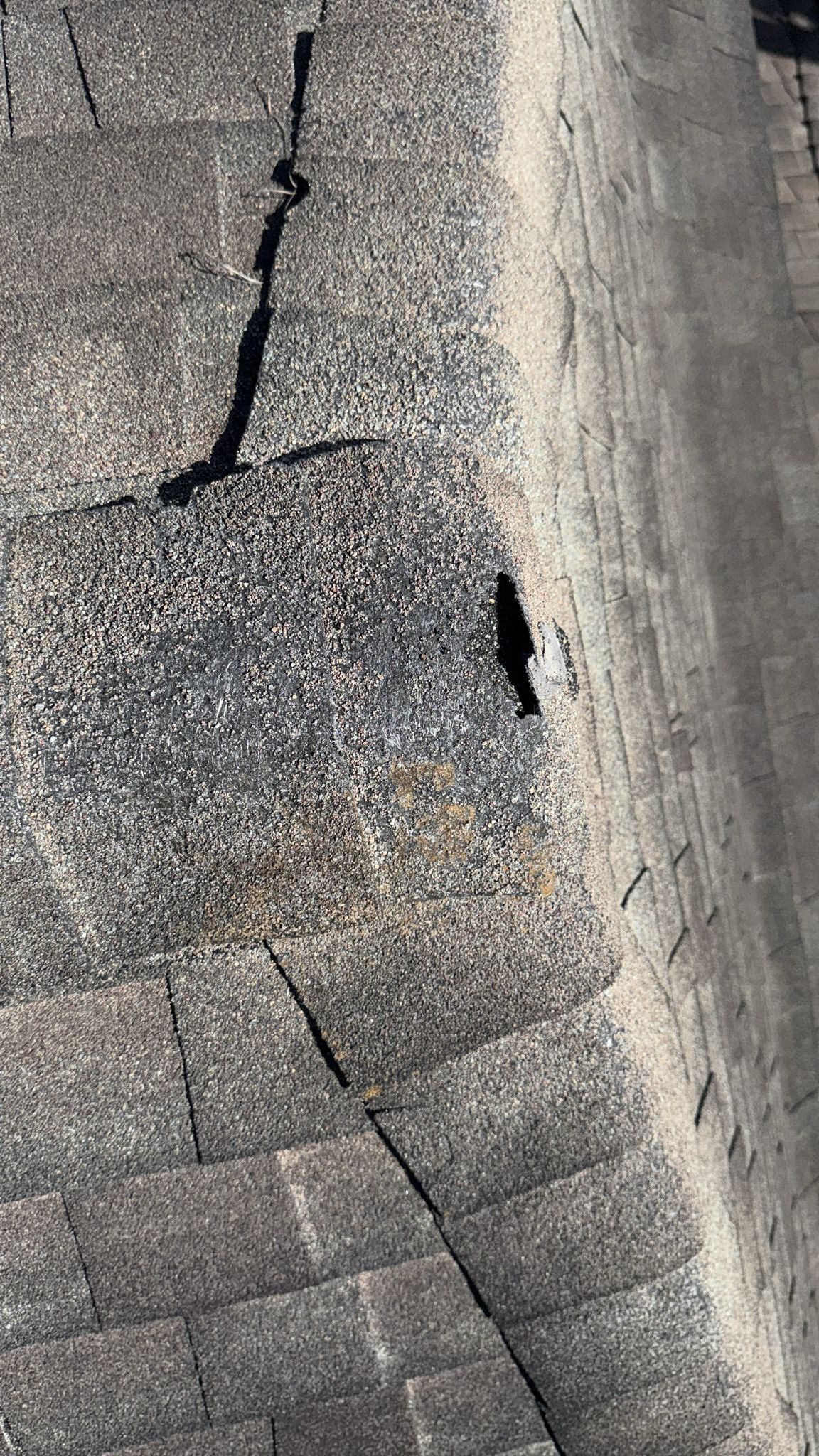 Roof Repair Spring by Roof Repair Company