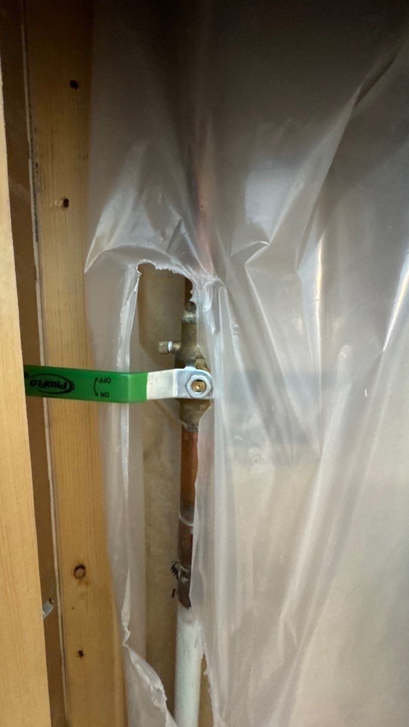 Mold Project in Thornton by Accountable Home Services