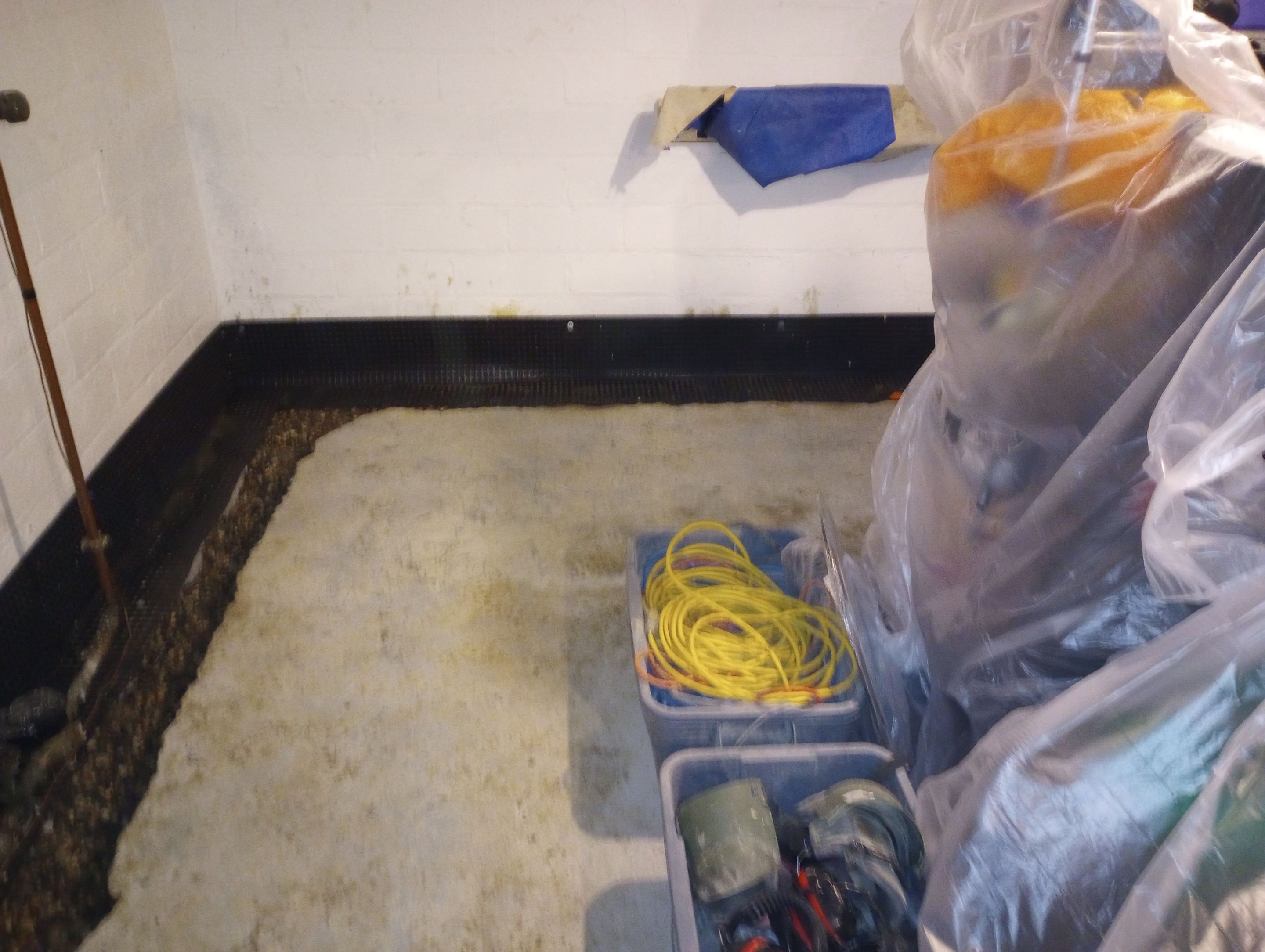 Earning Christine’s Trust in Her Forever Home by Waterproofing Northeast