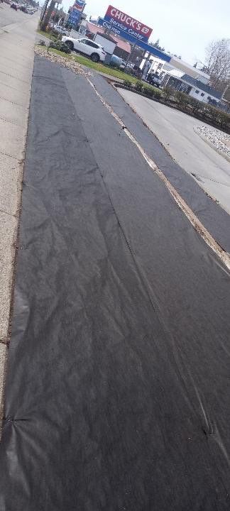 Panda Express | Striping  by Jireh Asphalt & Concrete Inc 