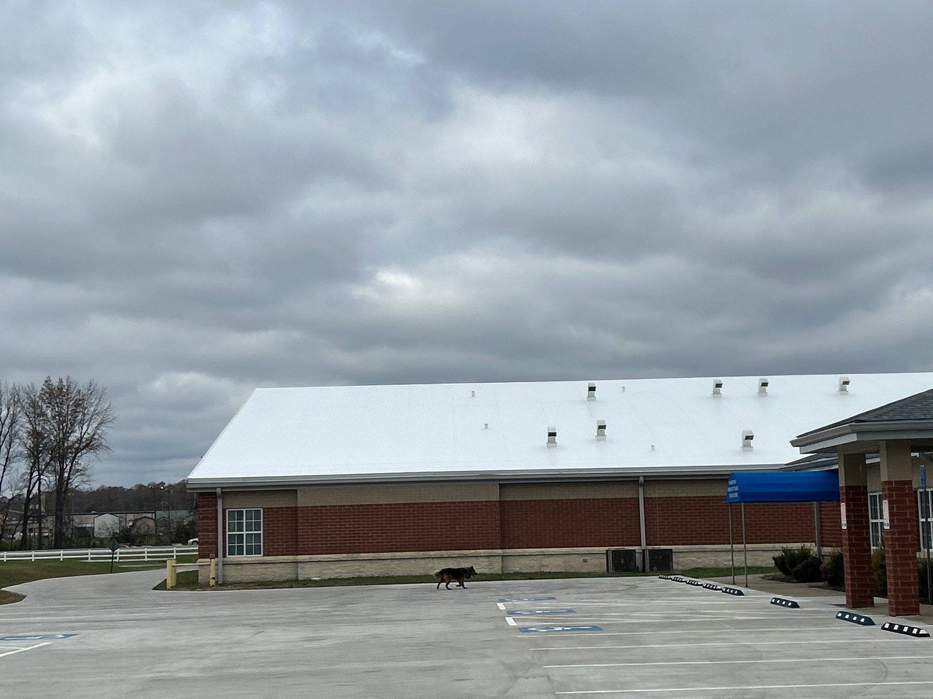Commercial Roofing Installation using Energy Efficient Roofing by Kentucky Commercial Roofing