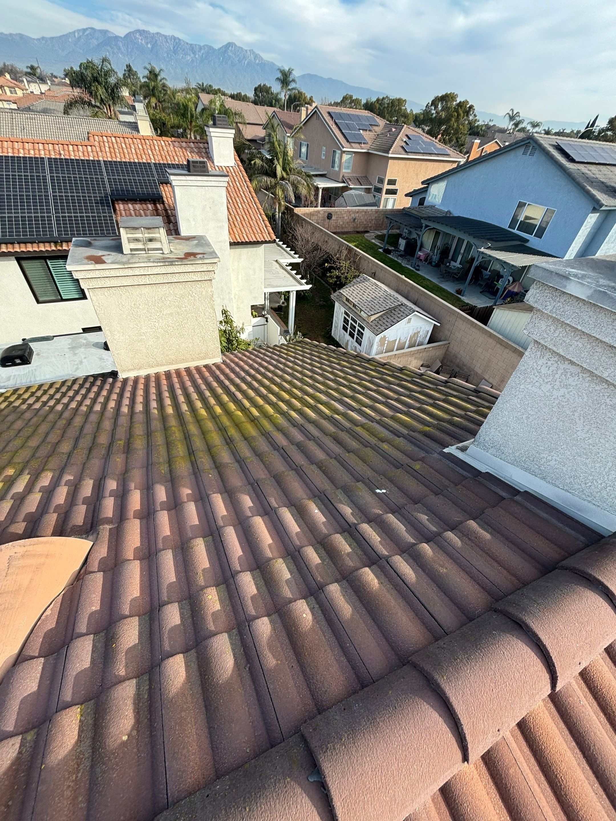 Roof Cleaning LIBERTY MUTUAL by Pirate Pete’s Power Washing