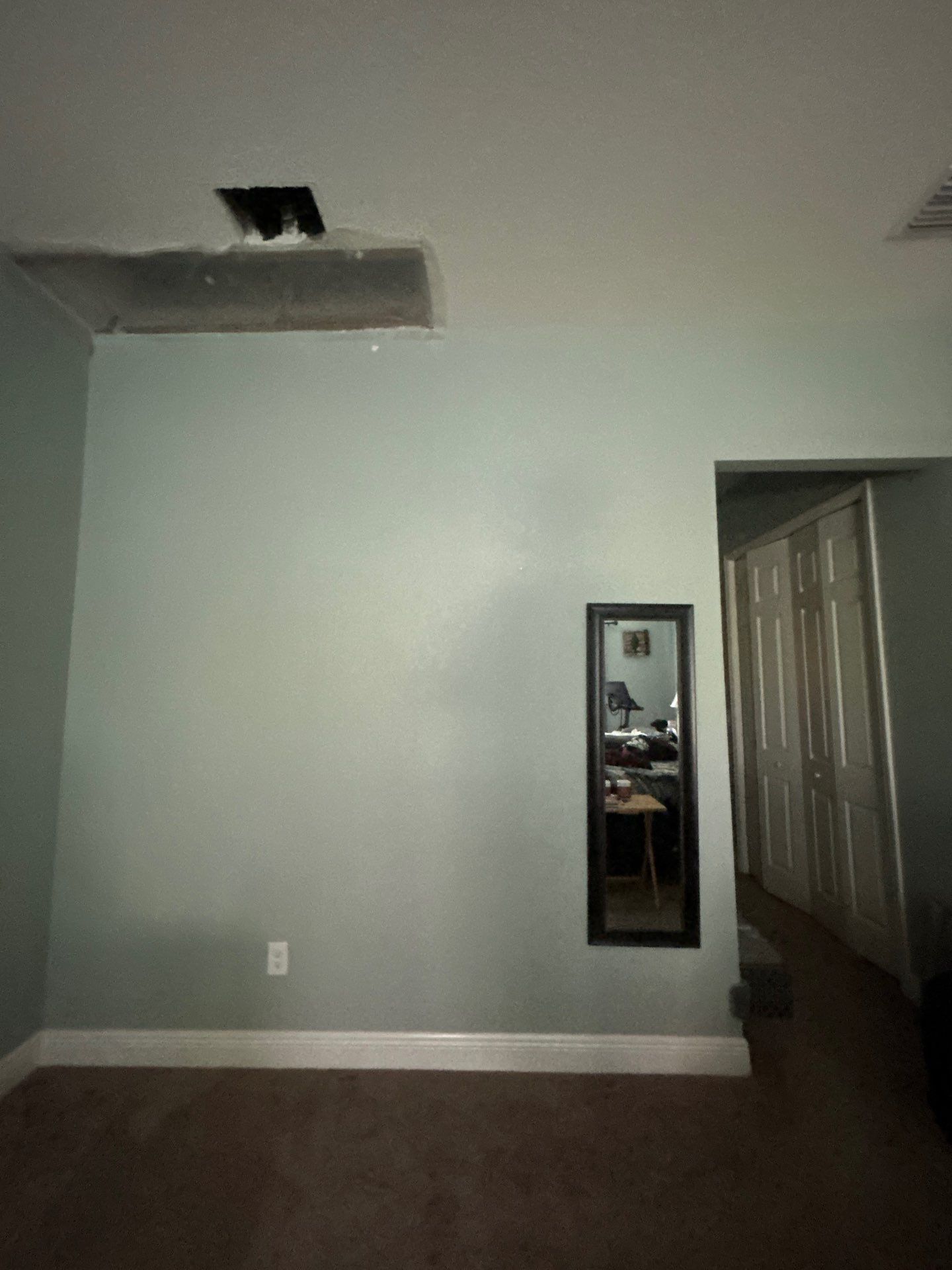 Mold Removal and treatment in Brandon, Florida by Ampm Restoration Services