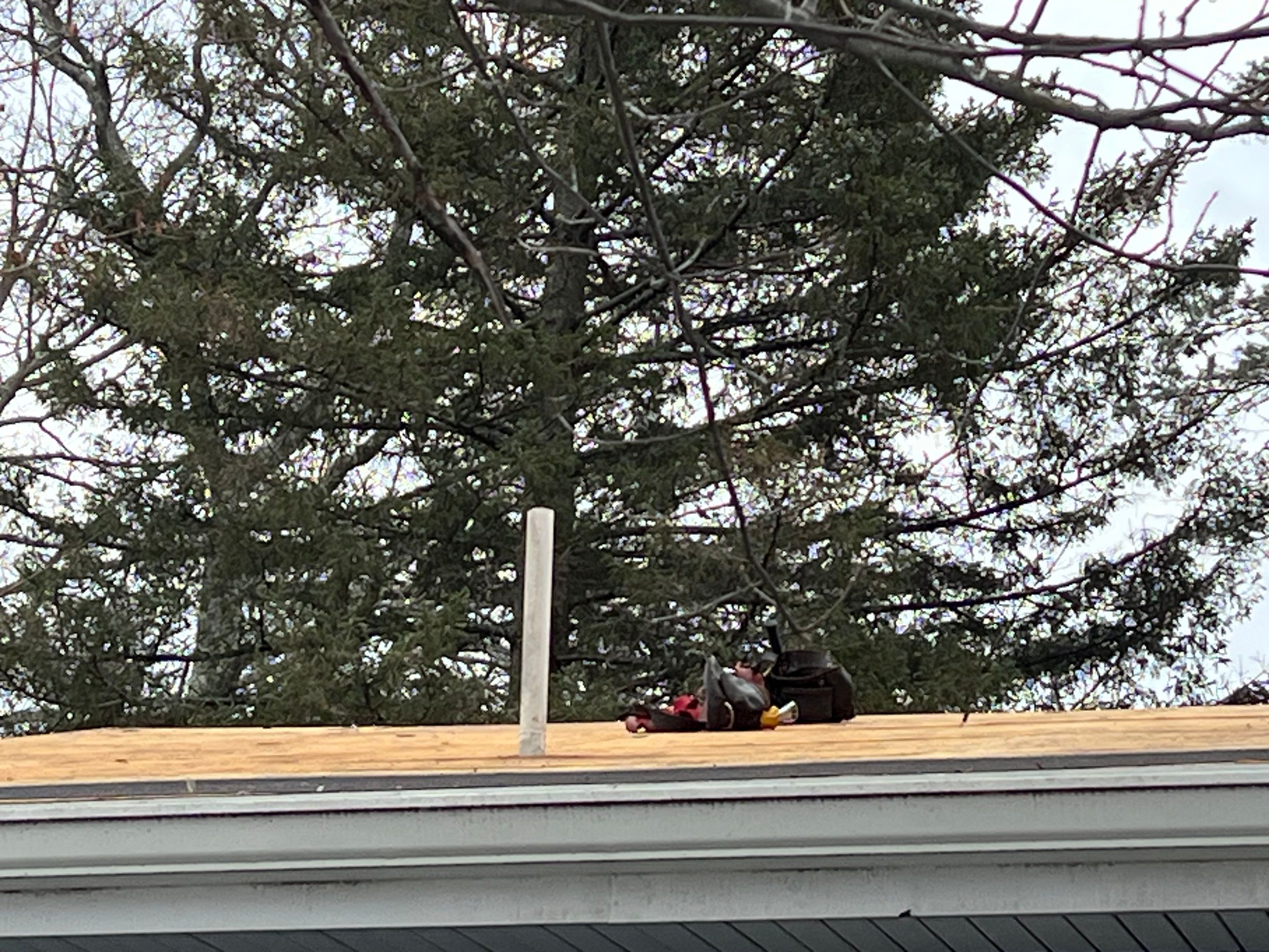Roofing, Skylight & Chimney Project in Burlington by Mighty Dog Roofing of Greater Middlesex County