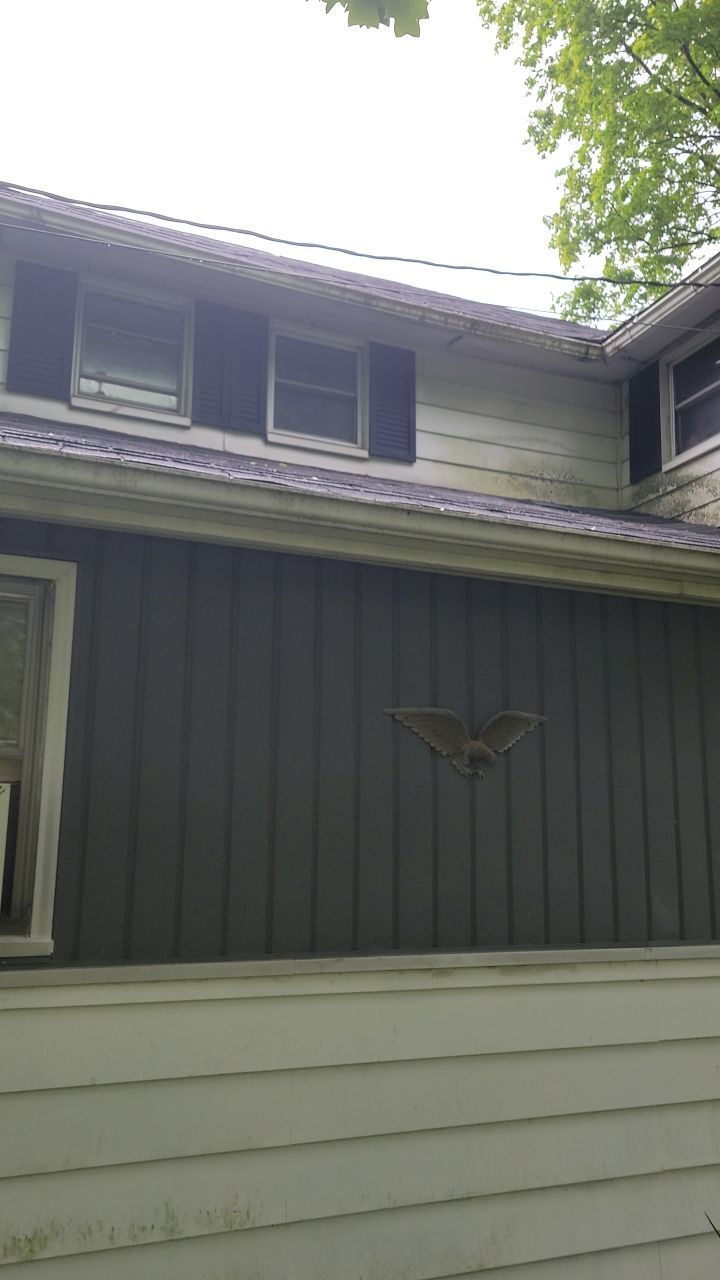 ATLAS PINNACLE COLOR: HEARTHSTONE DRIP EDGE: WHITE by Eagle Eye Roofing