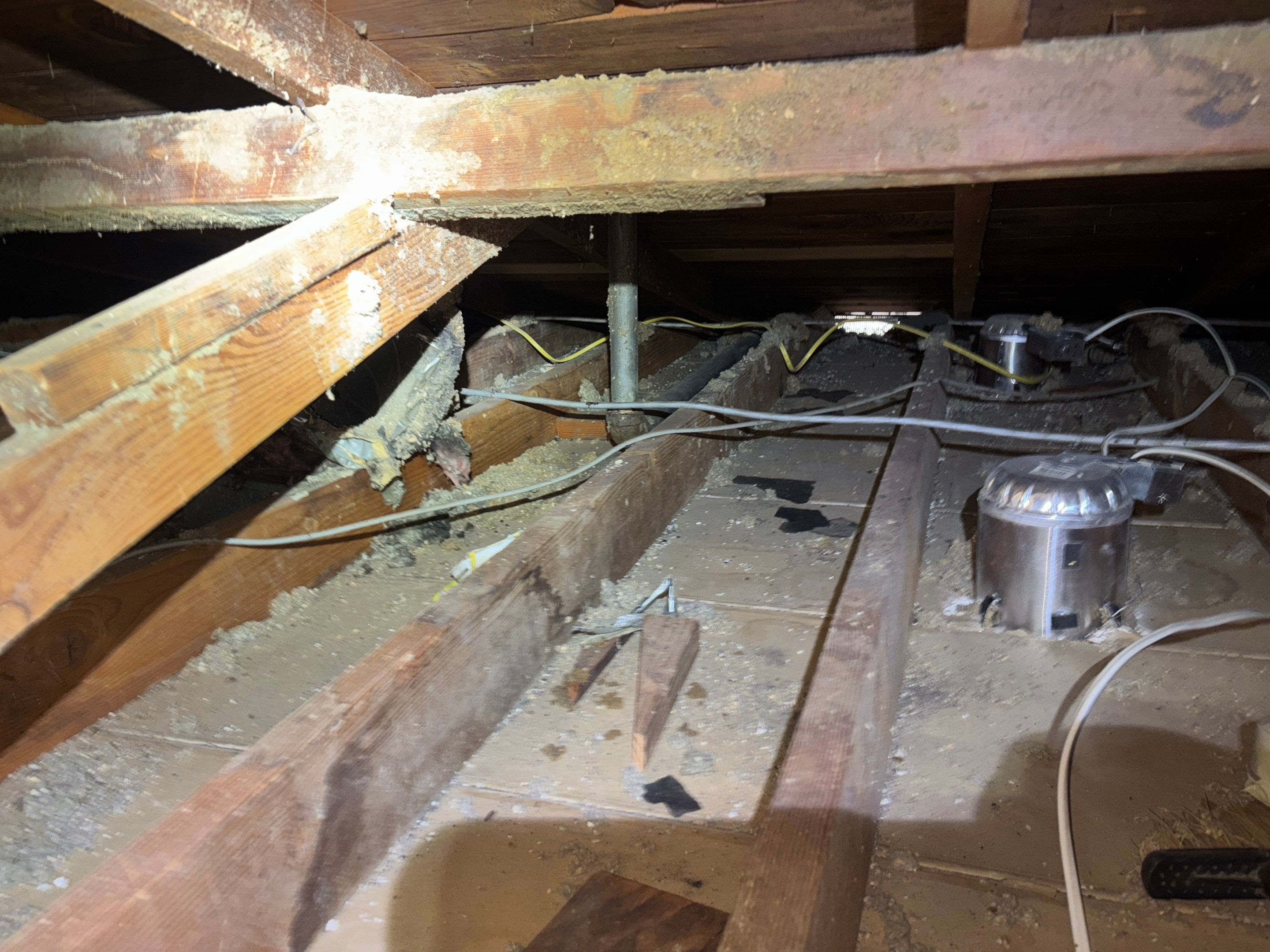 Project in Pasadena by Insulation Labs