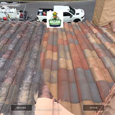 Residential Barrel Tile Roof Cleaning