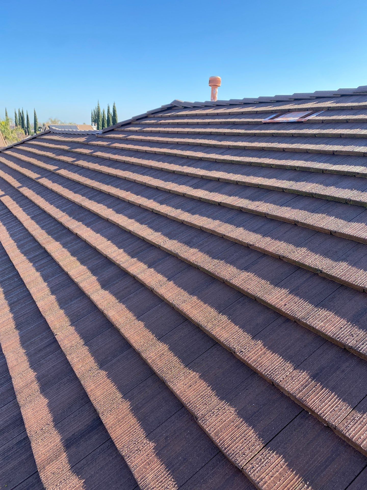 Moss Removal by Top Elevation