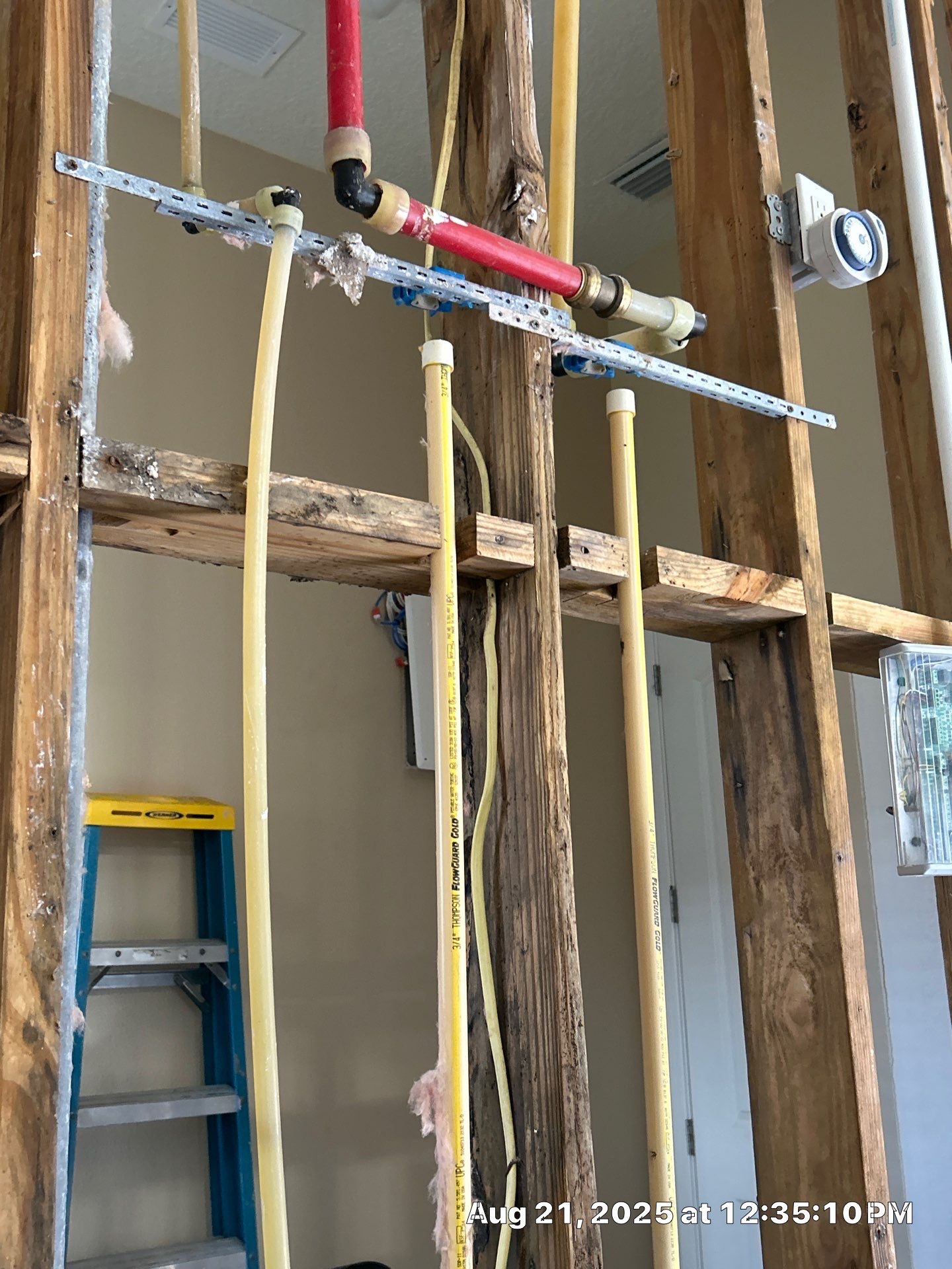 Mold Damage Inspection & Removal In Parrish, FL by Ampm Restoration Services