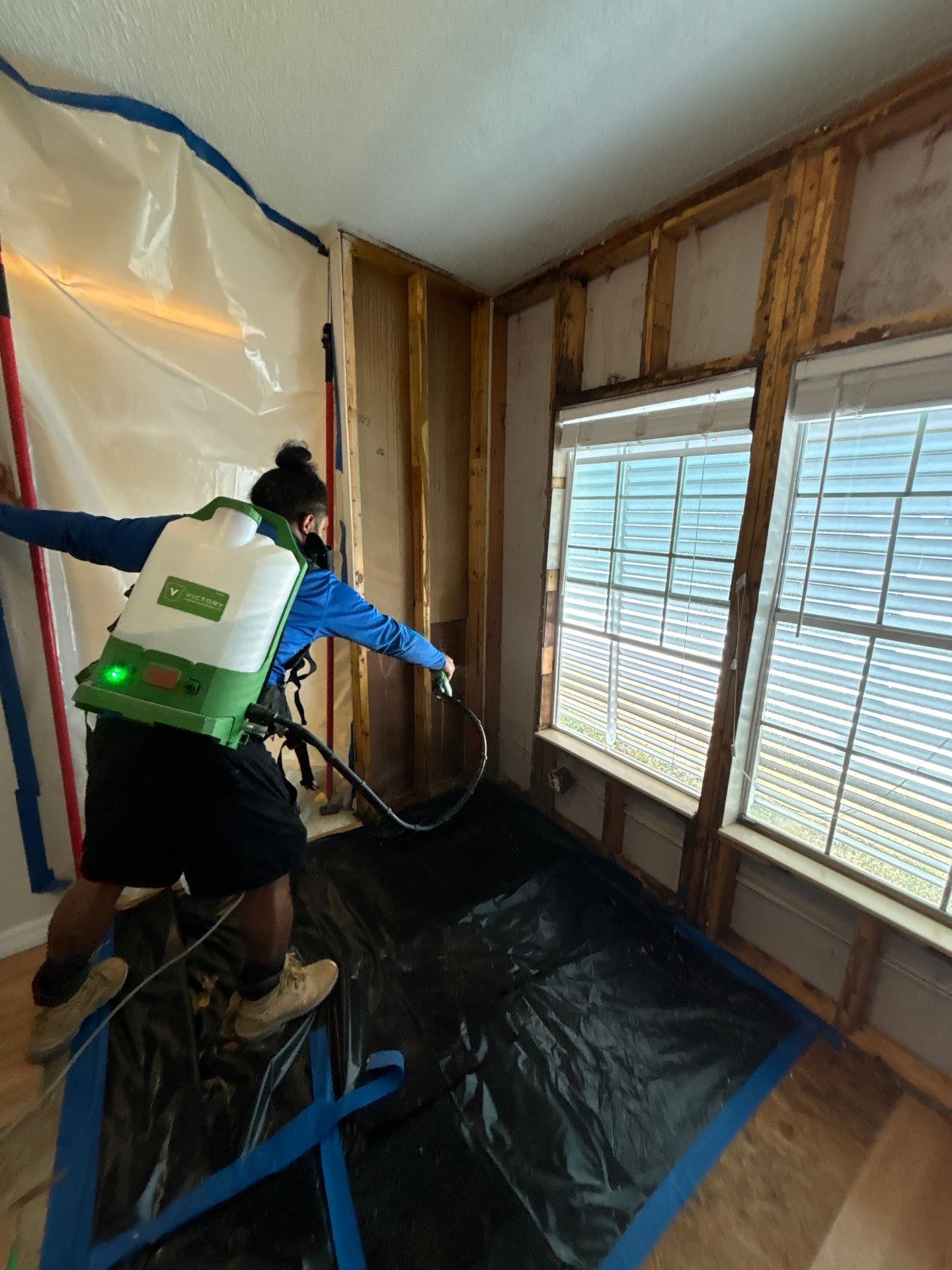 Mold Remediation Palmetto by Ampm Restoration Services 