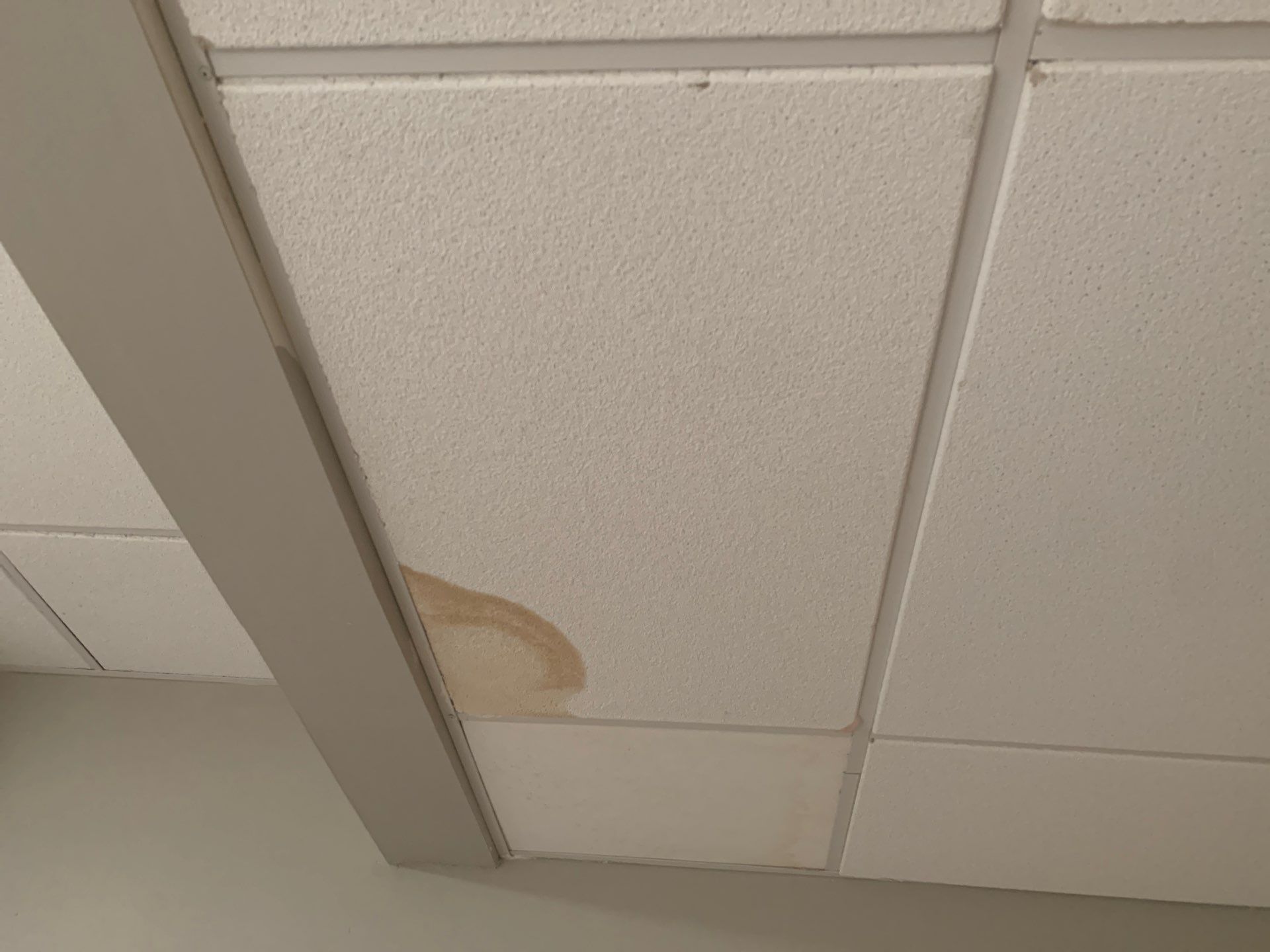 Drywall Remodel  by Crown Royalty Management 