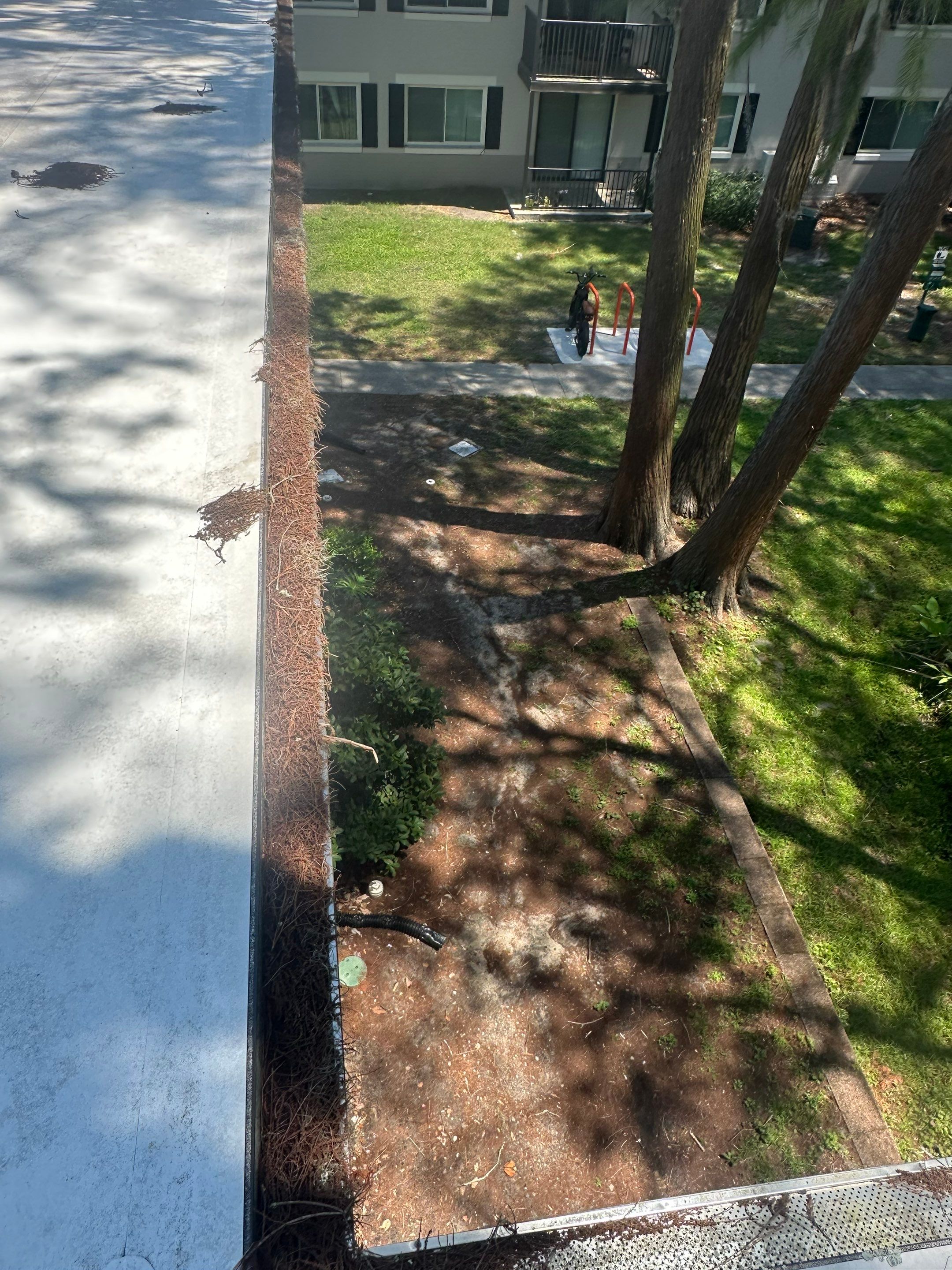 Commercial gutter cleaning Gainesville, FL before photo with filled gutters