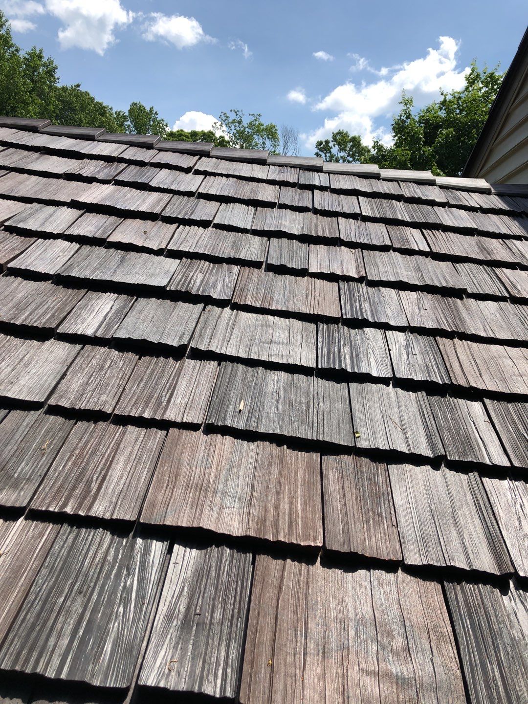 Montclair VA Brava by American Custom Contractors
