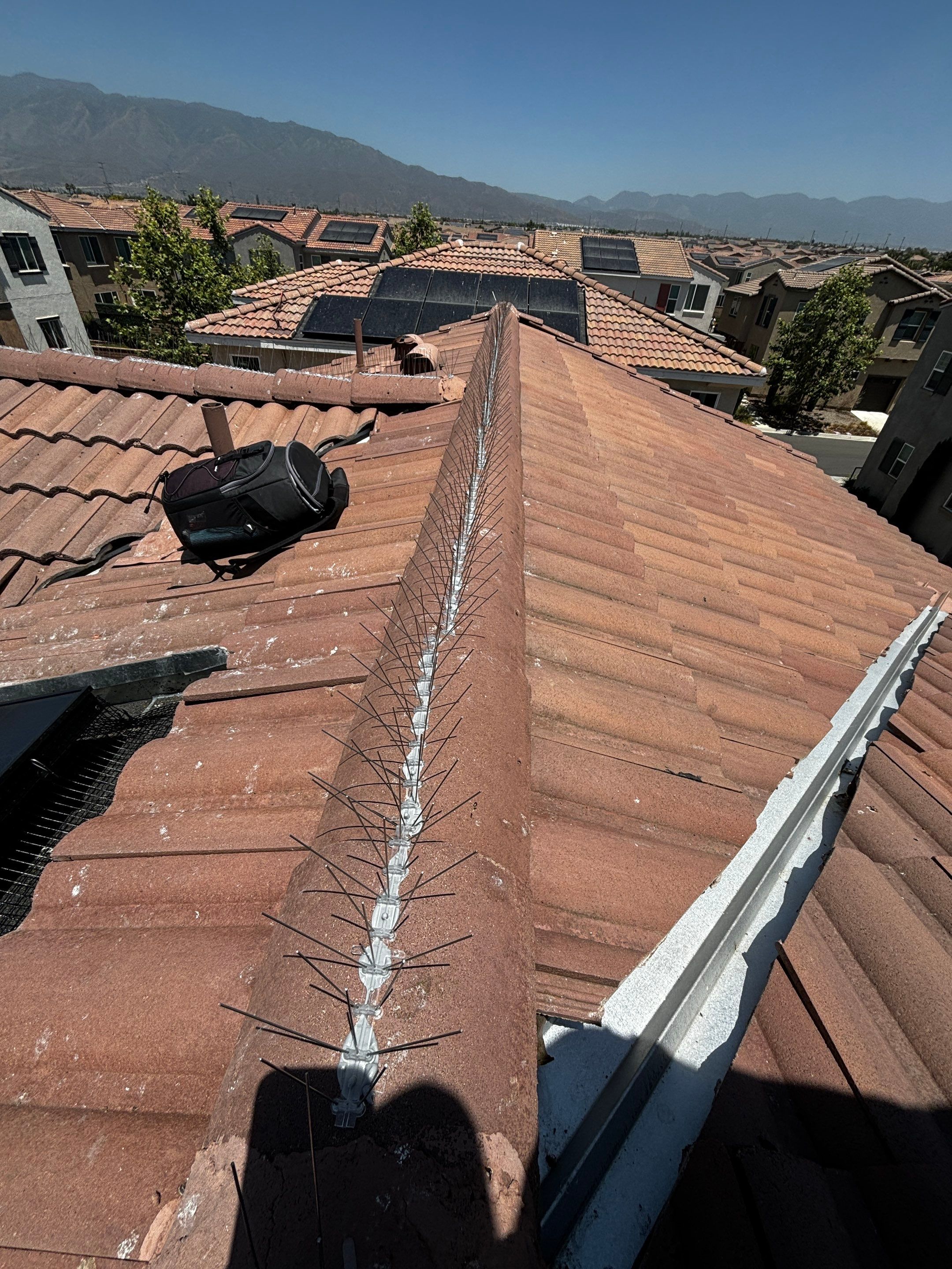 Solar Panel Bird Proofing in Fontana Ca by Palm Coast Solar Cleaning