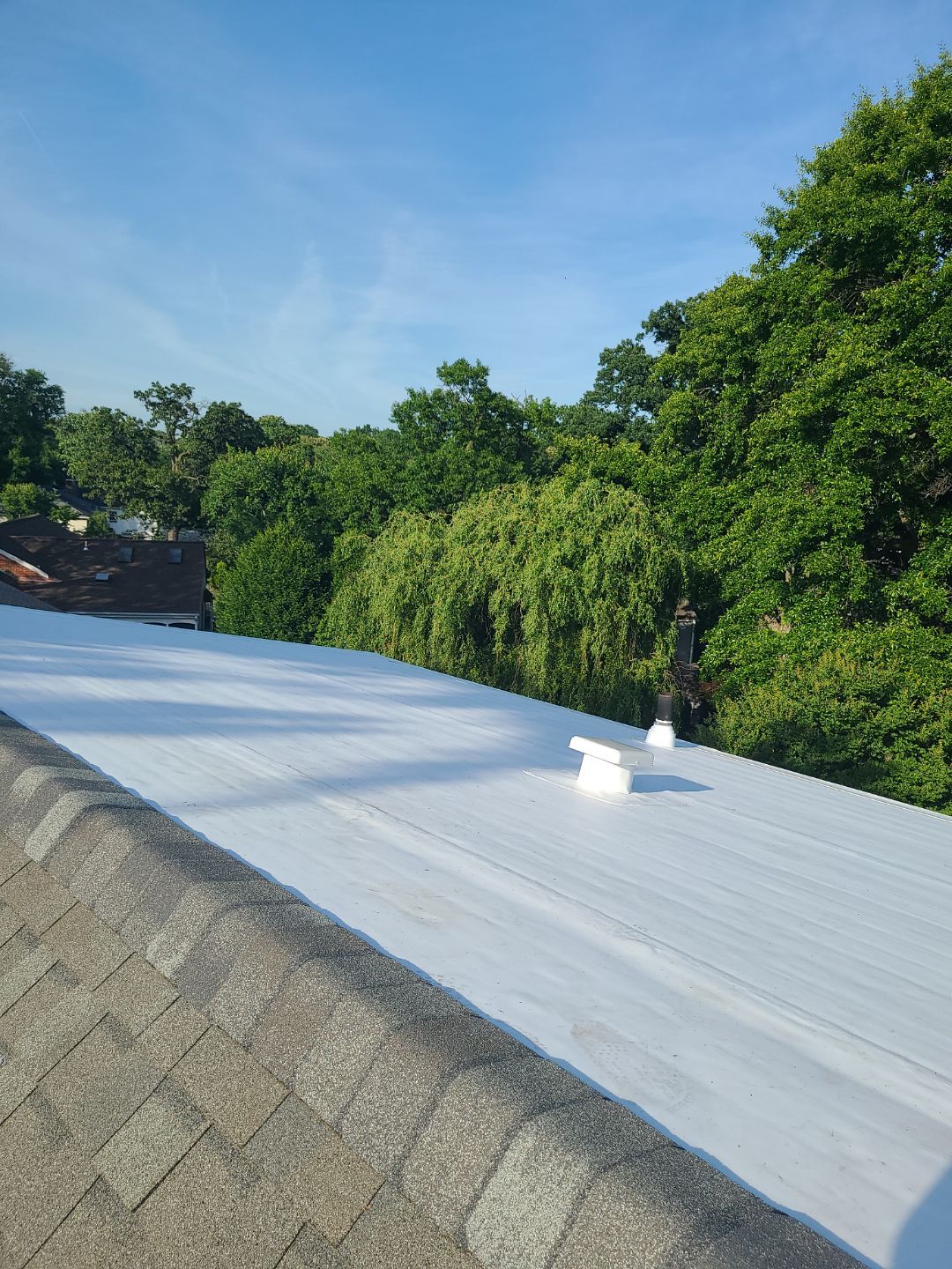 Alexandria: Mule Hide TPO Flat Roof by RM Banning, Inc.