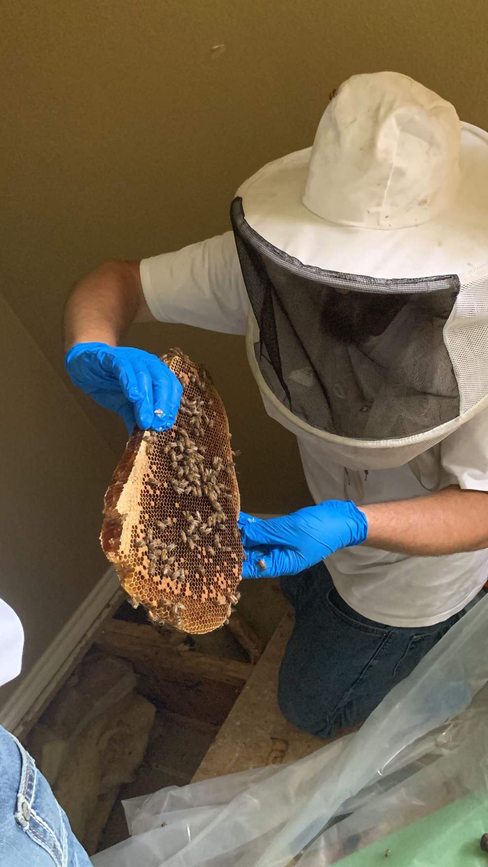 Beekeepers-to-be by Rockwall Honey Bee Company