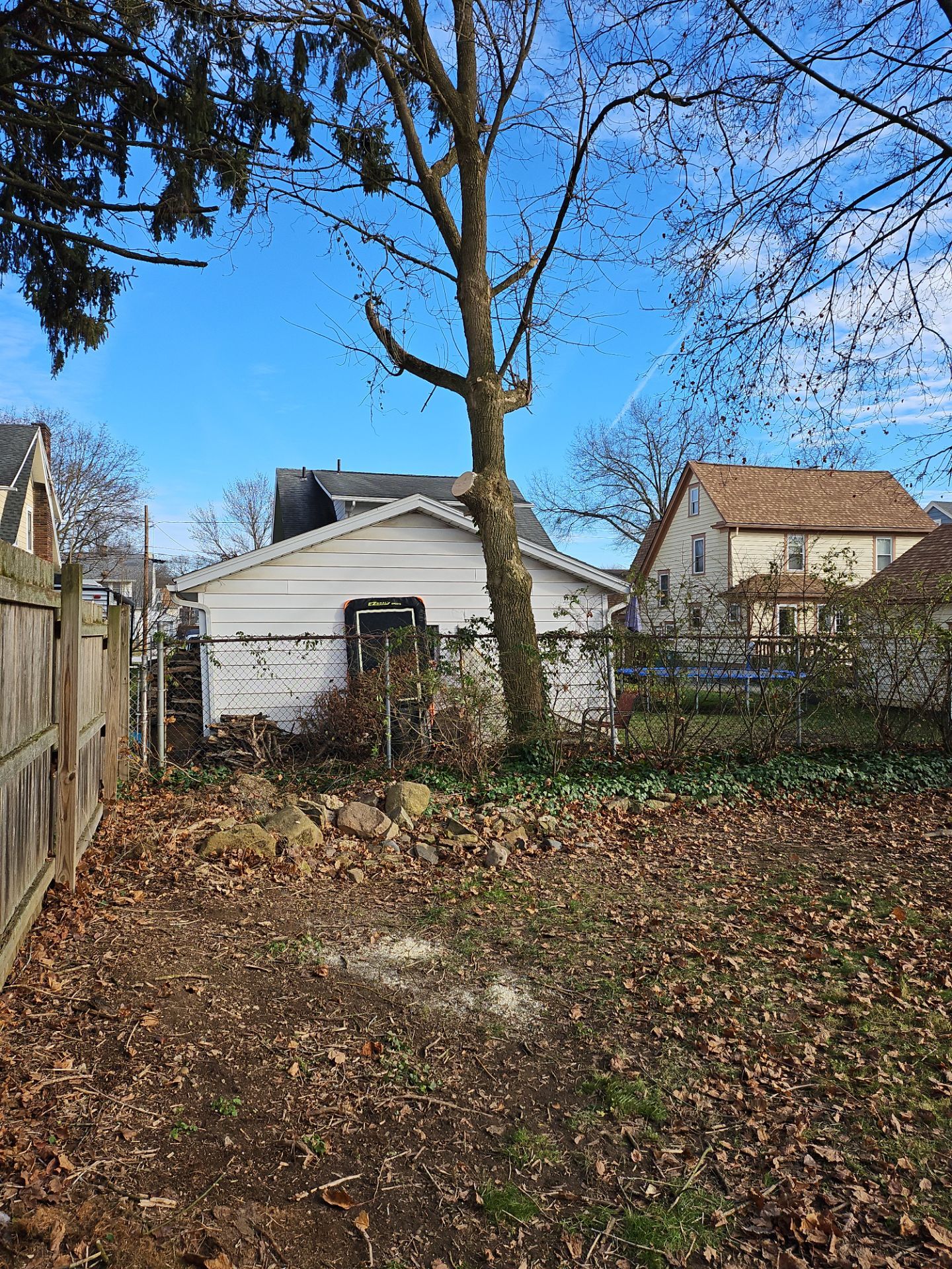 Tree Trimming using Tree Pruing by Mike Jones & Sons Tree Service LLC 