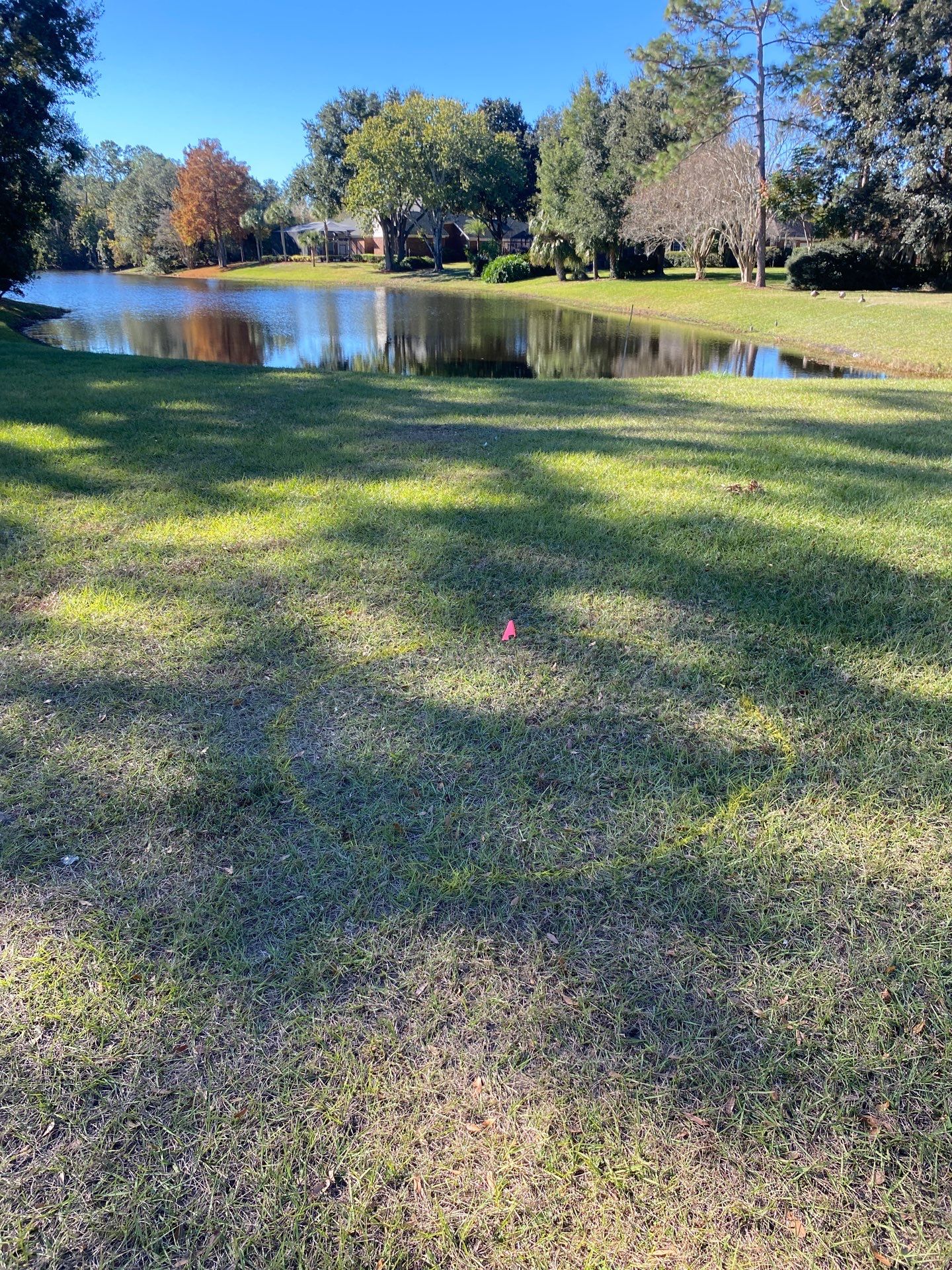 Deerwood Community | Oak Tree Replacement Project by ProGreen Services