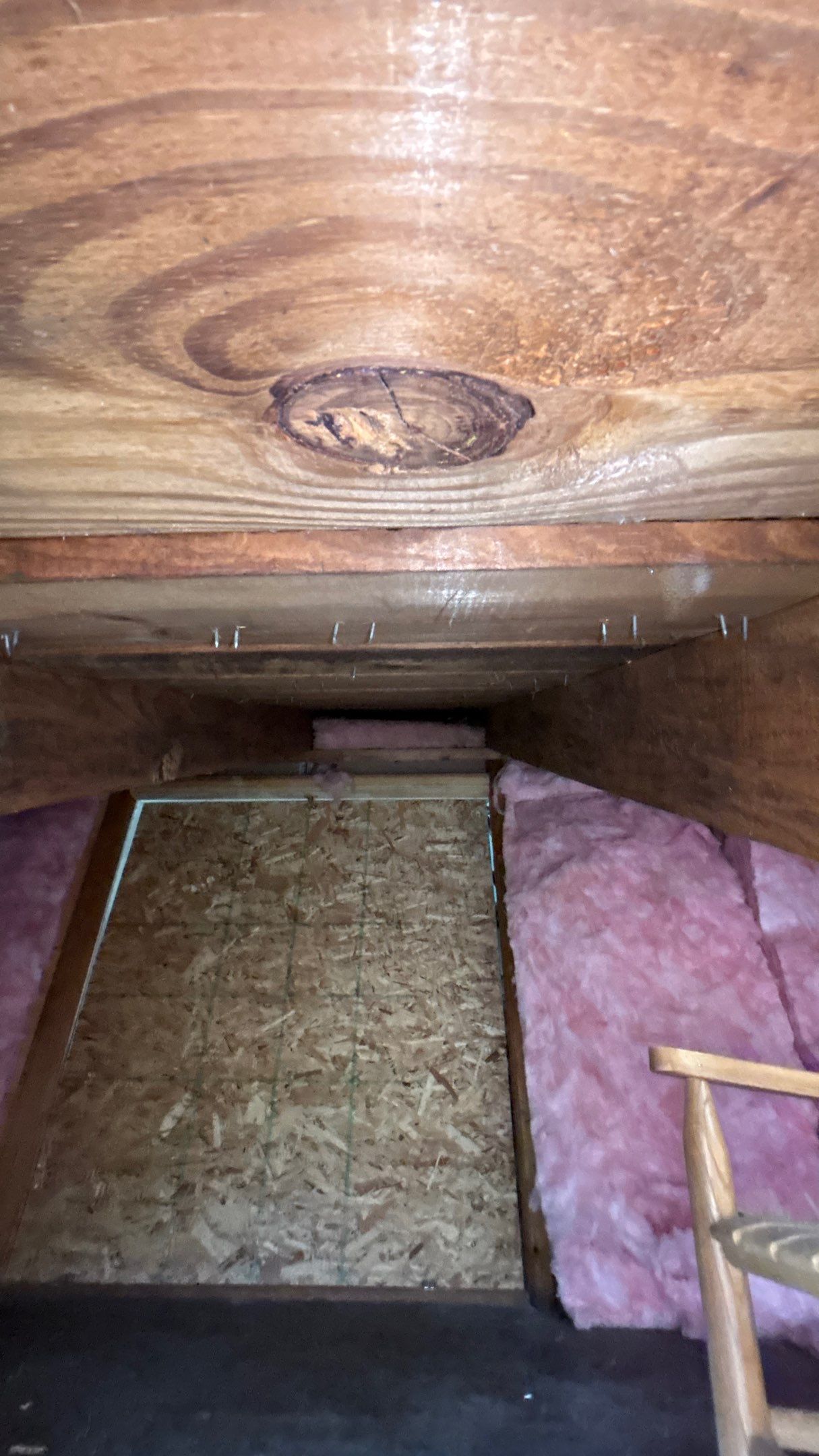 Roof Replacement using Owens Corning Summer Harvest by 180 Contractors