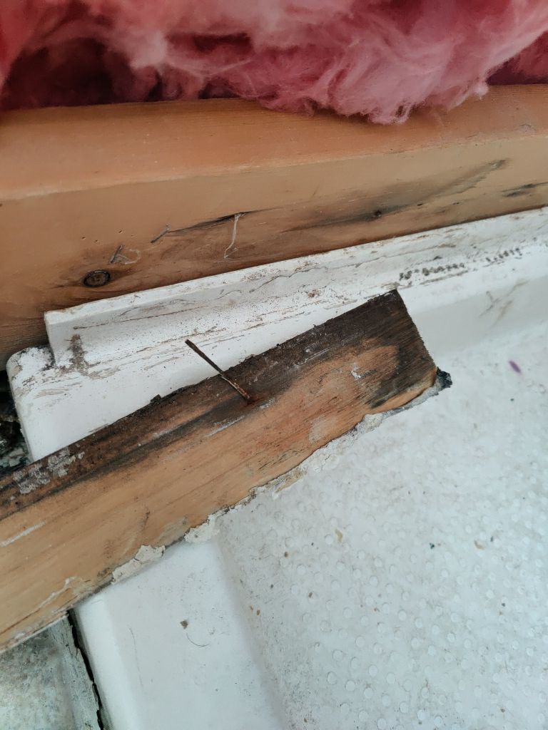 Mold Remediation  by Accountable Home Services