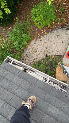 Turtle Shell gutter protection installation in Naperville, IL 60540, photograph 14