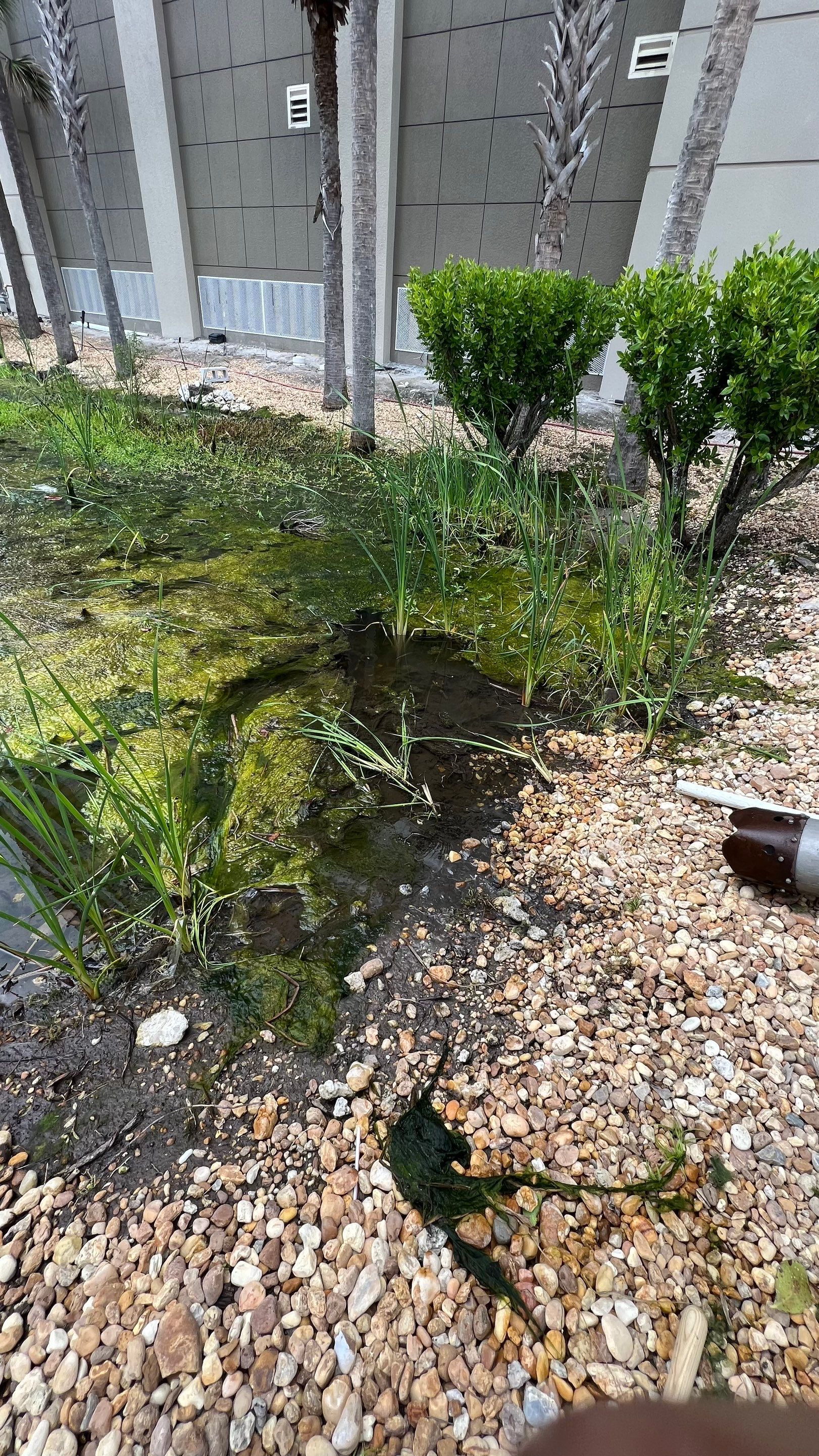 Naples Condo Stormwater System Maintenance by Don Mar, Inc. Storm Water Solutions