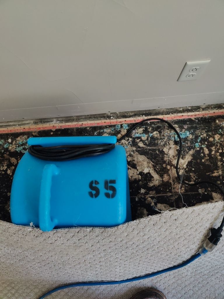Water Damage Project in Denver by Accountable Home Services