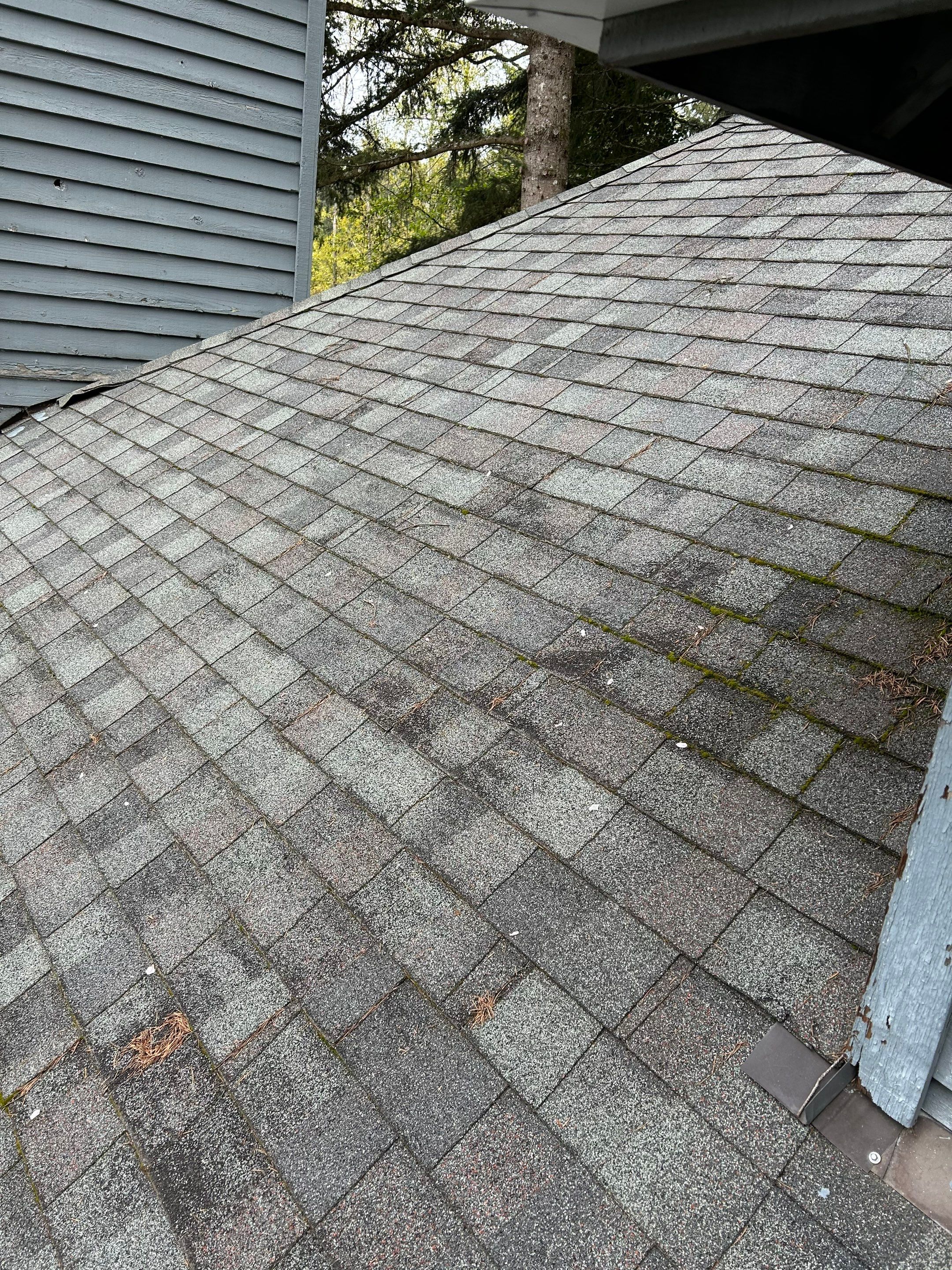Project in Redmond by Peaks and Valleys Construction