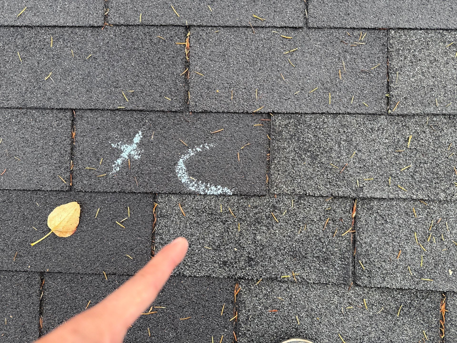 GAF Timberline NS Pewter Gray  by Proline Roofing & Restoration LLC